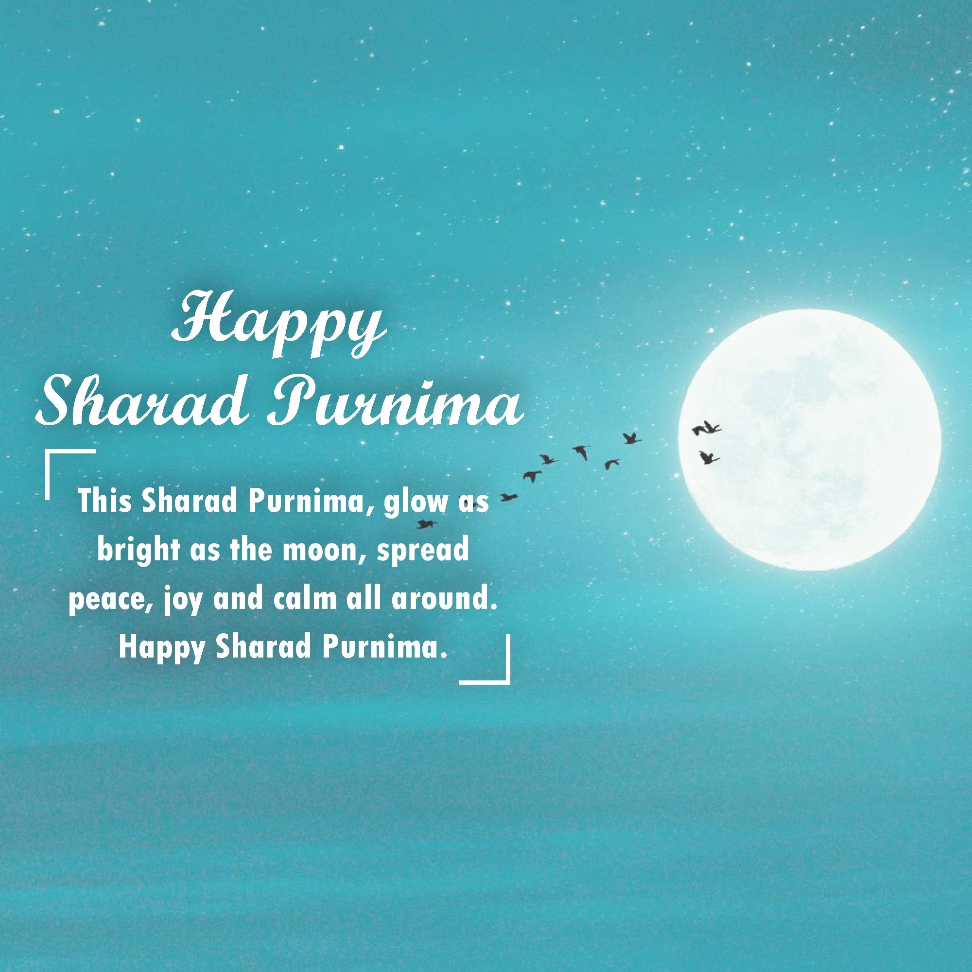 Sharad Purnima
