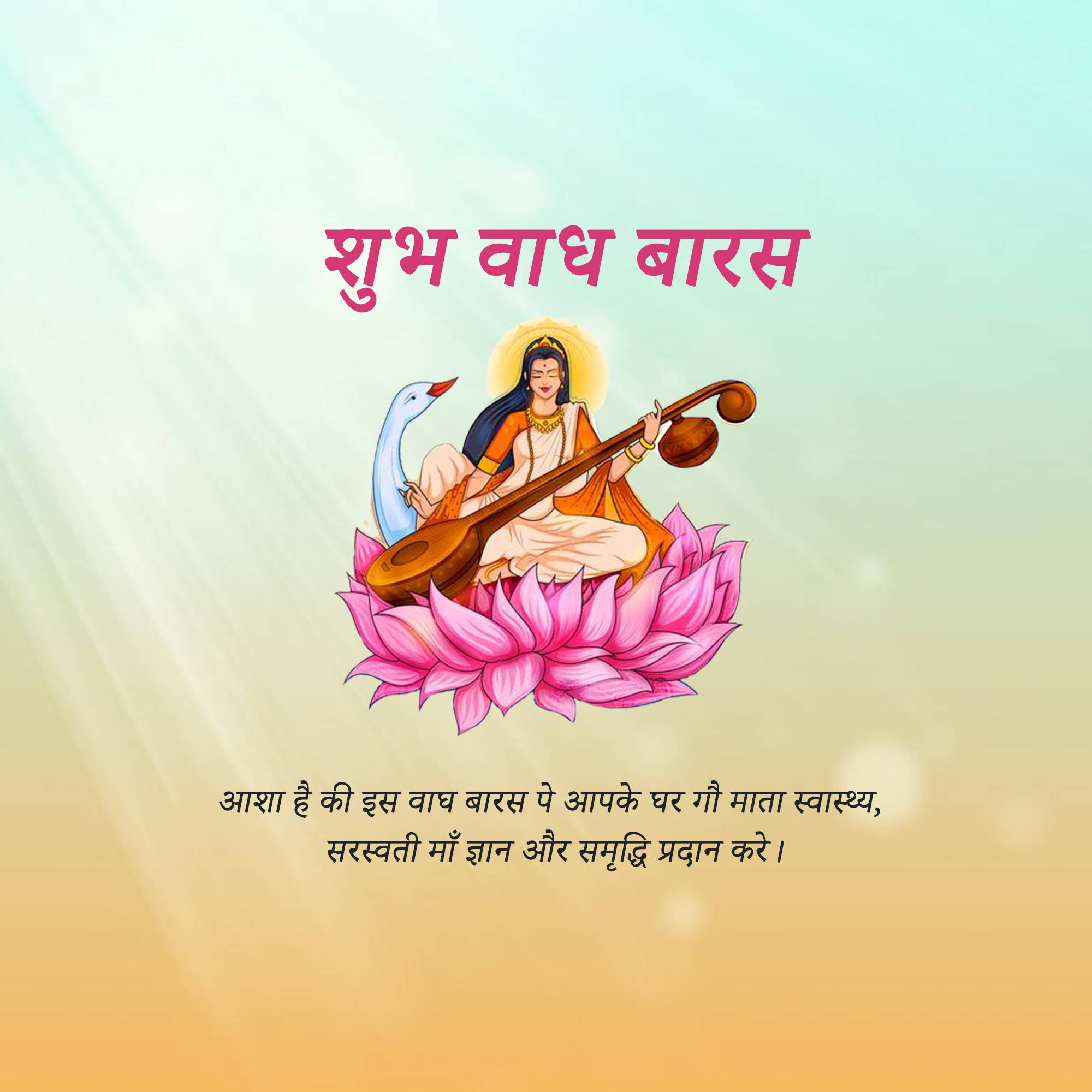 Vagh Baras