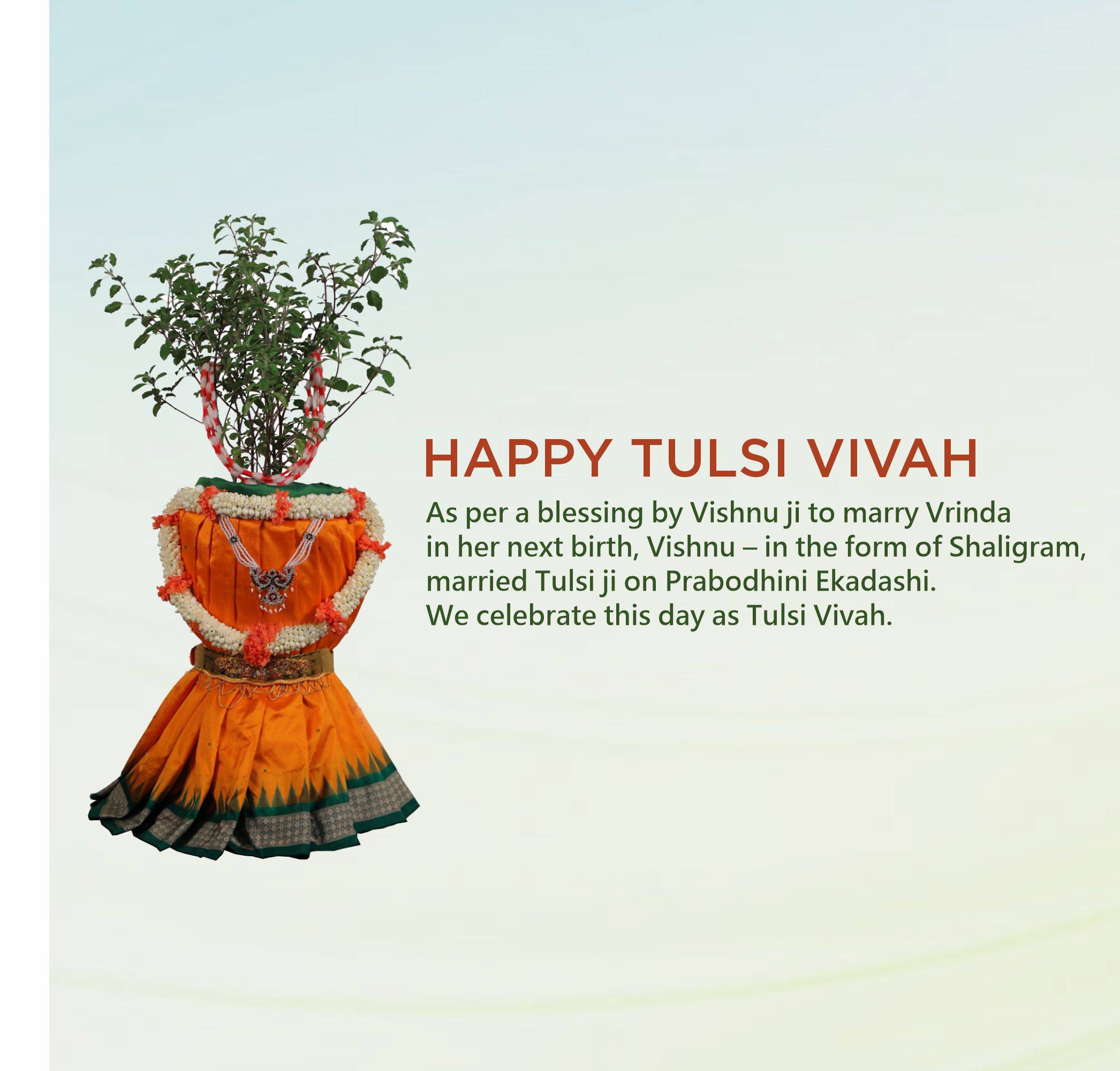 Tulsi Vivah