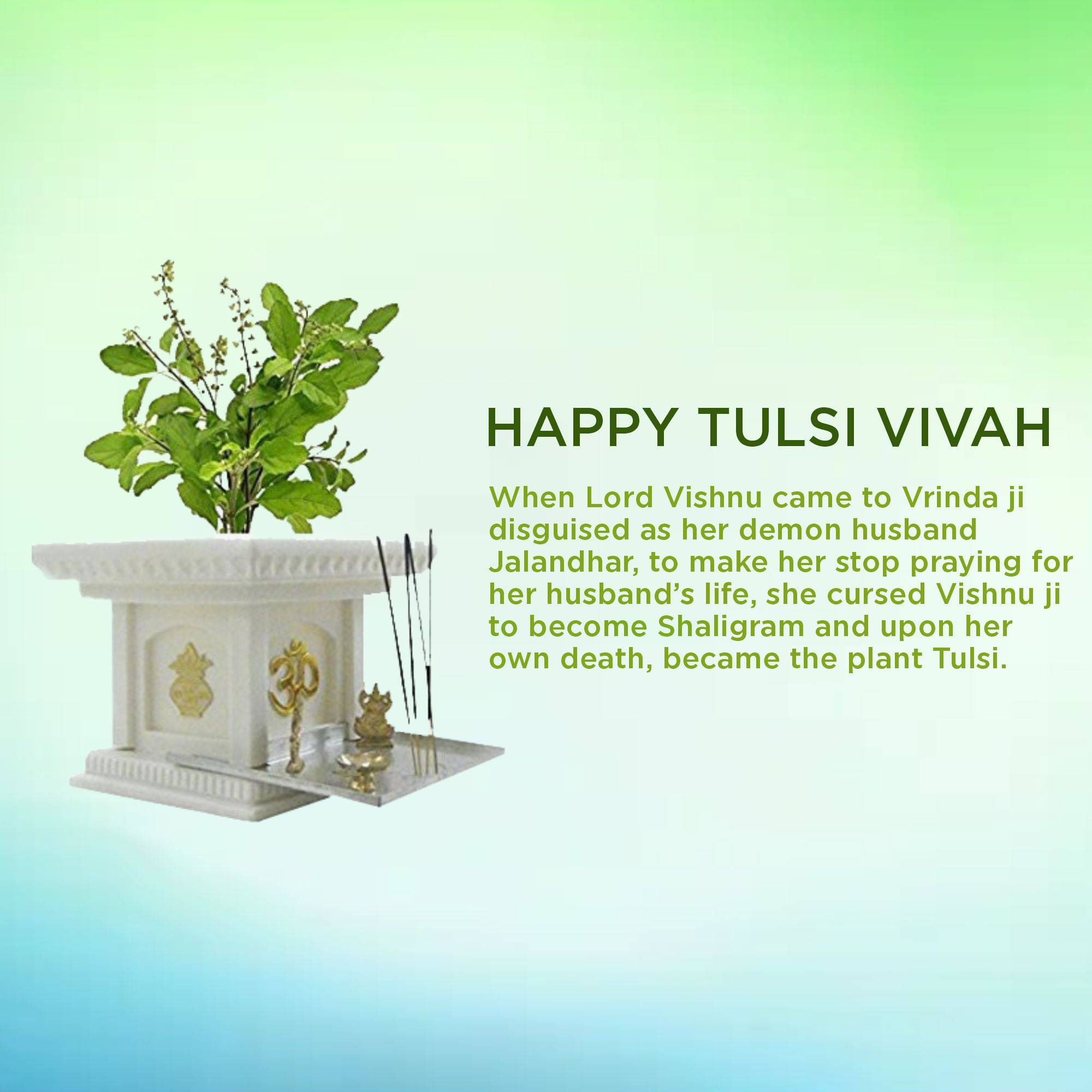 Tulsi Vivah