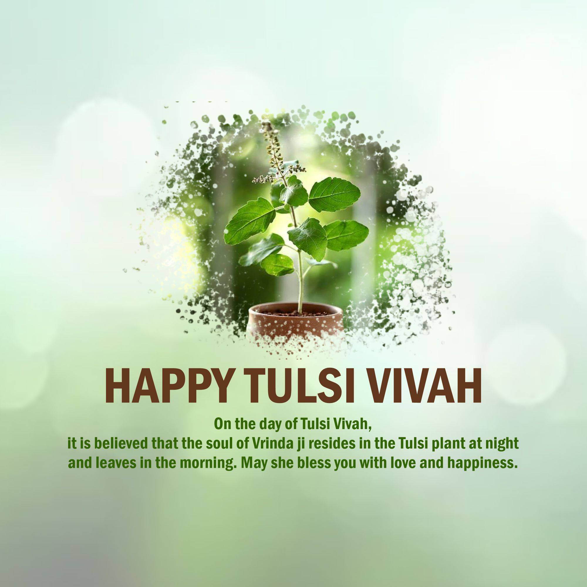 Tulsi Vivah