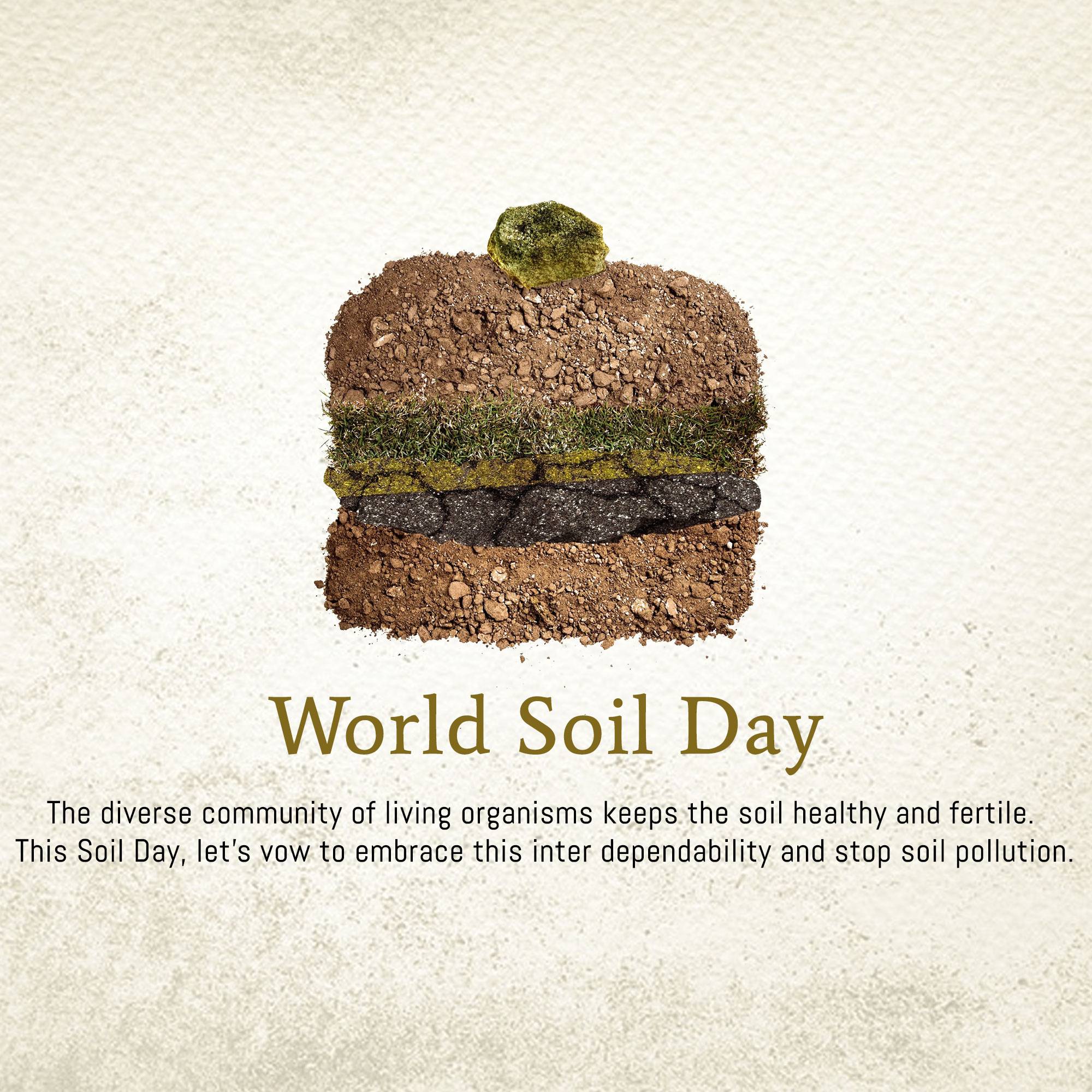 World Soil Day