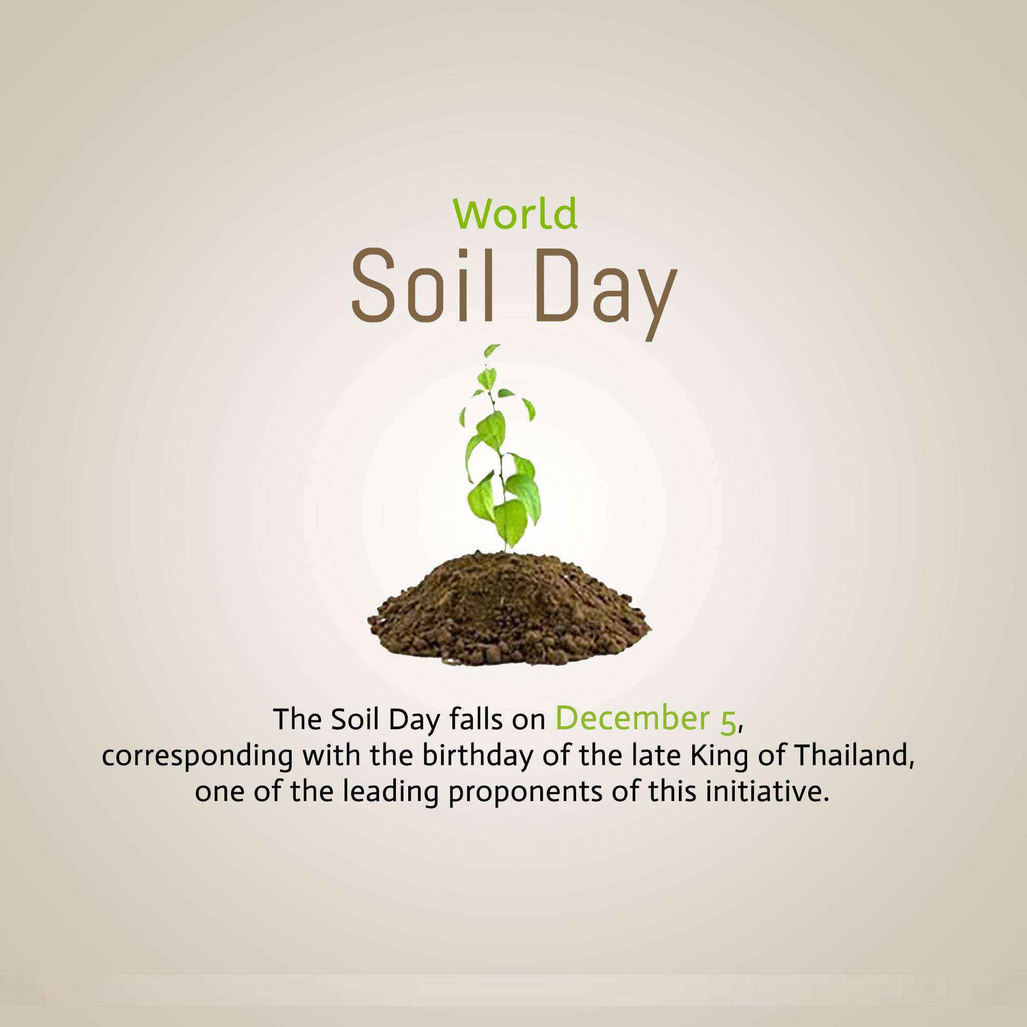 World Soil Day