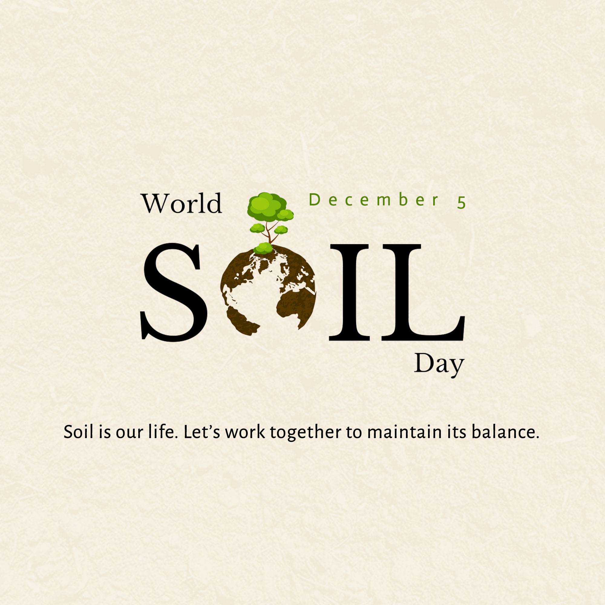 World Soil Day