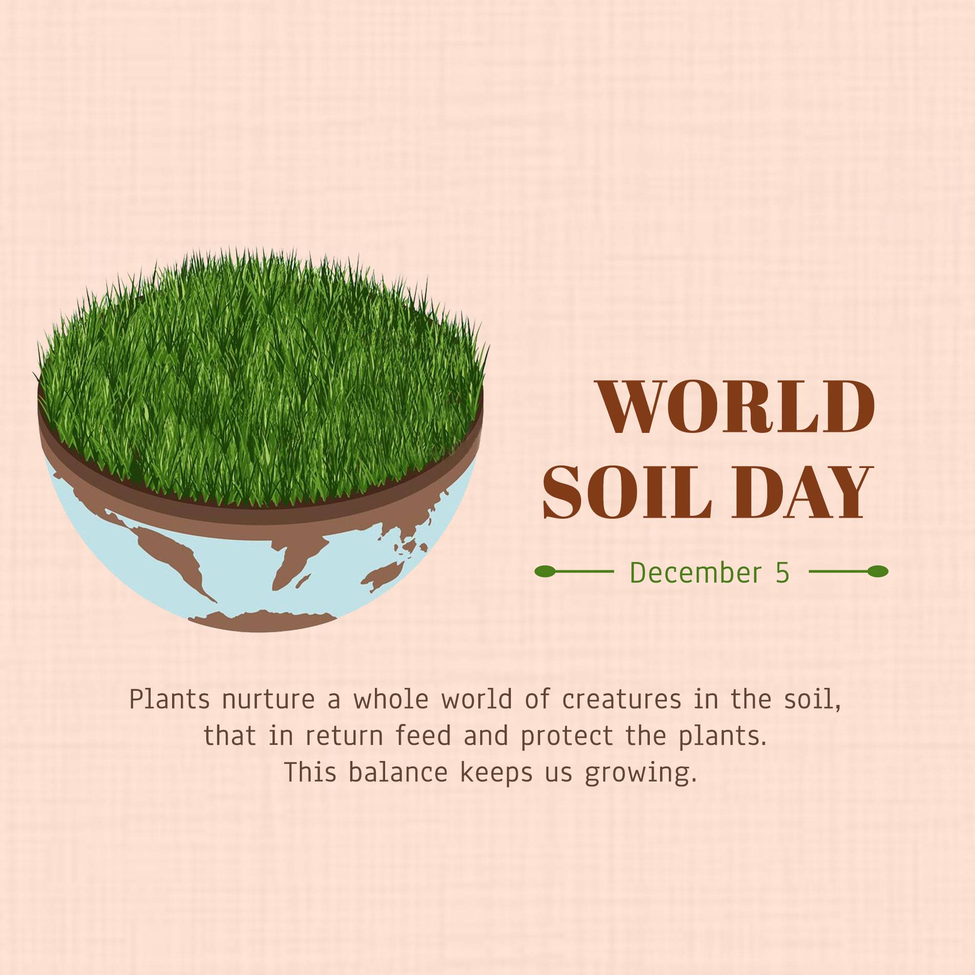 World Soil Day