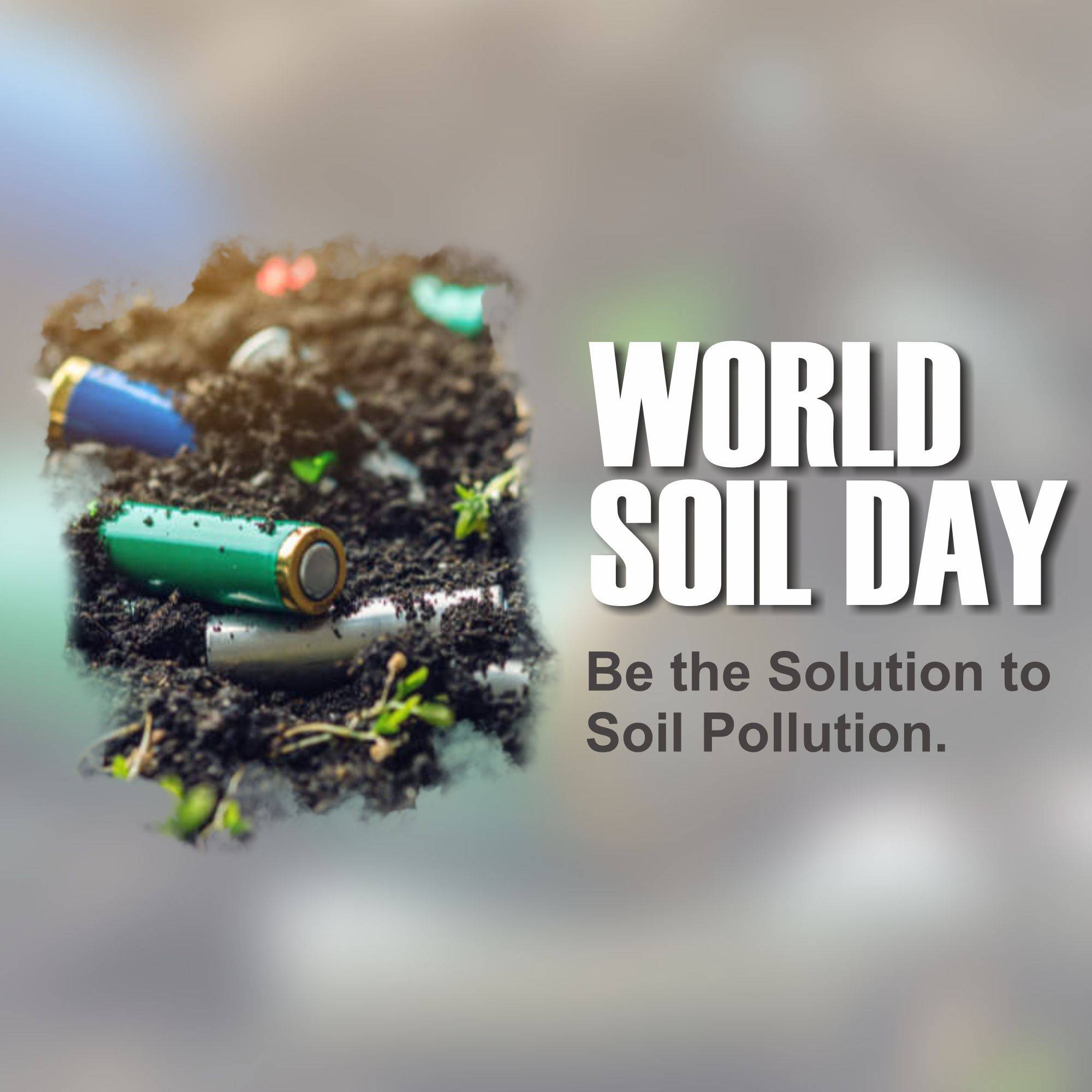 World Soil Day