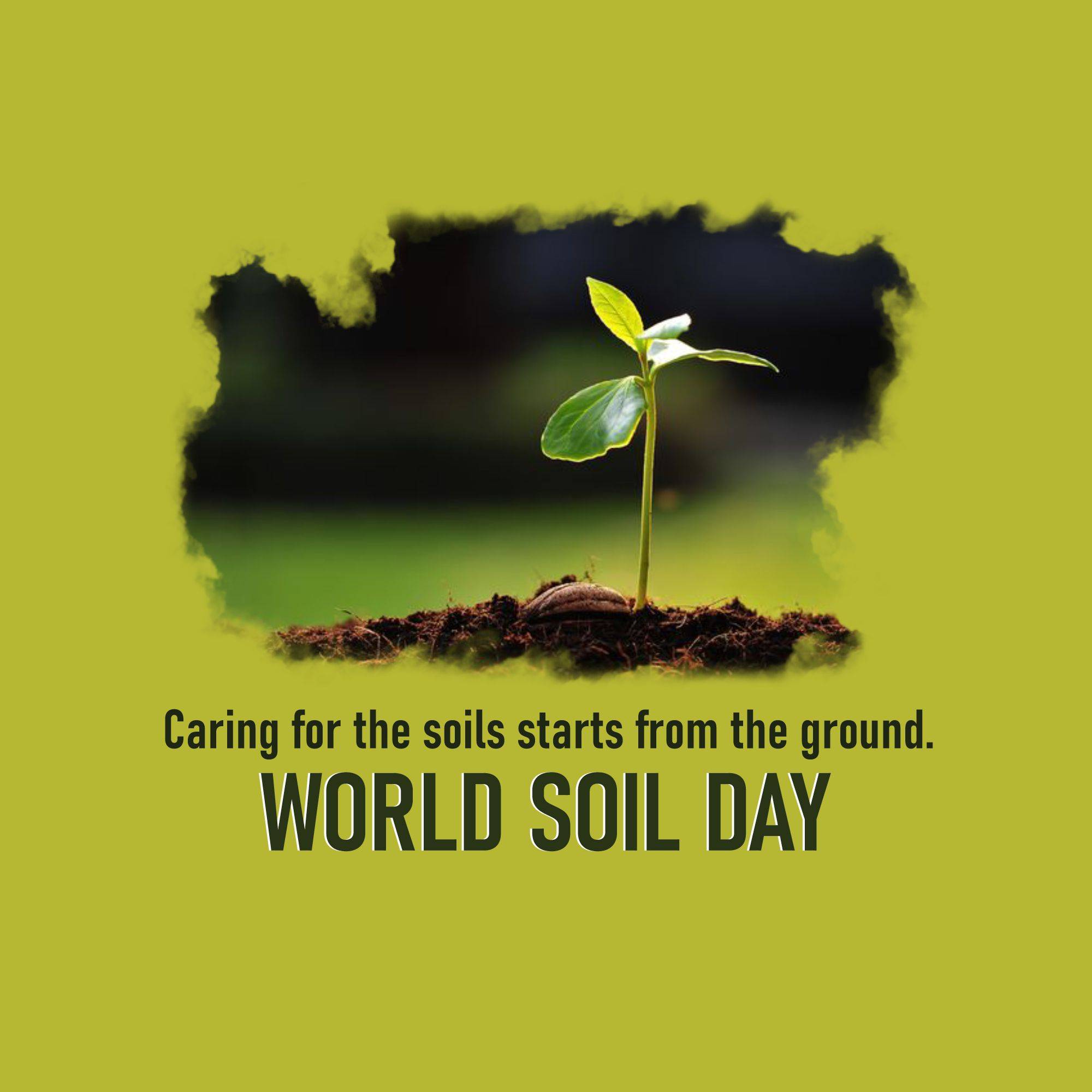 World Soil Day