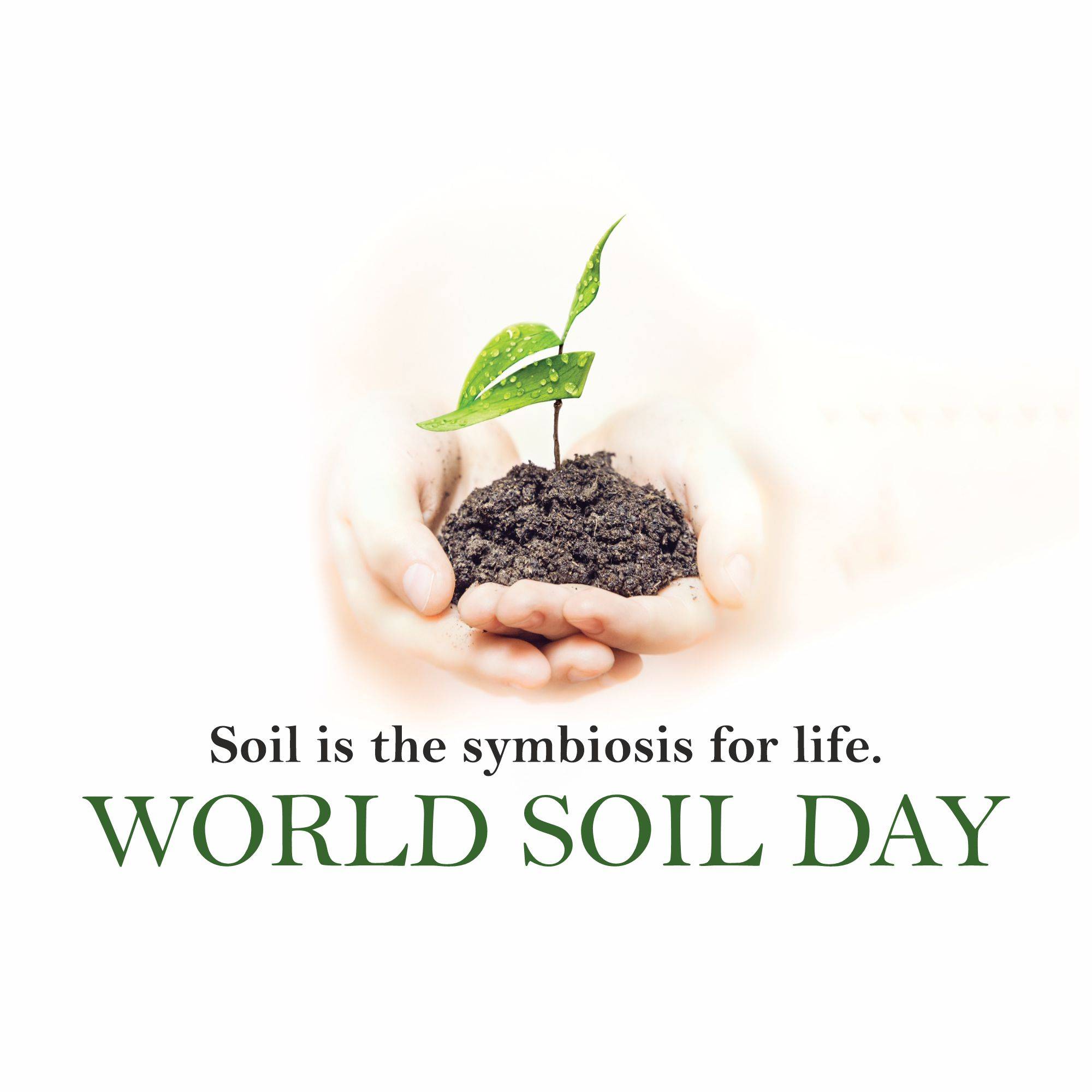World Soil Day