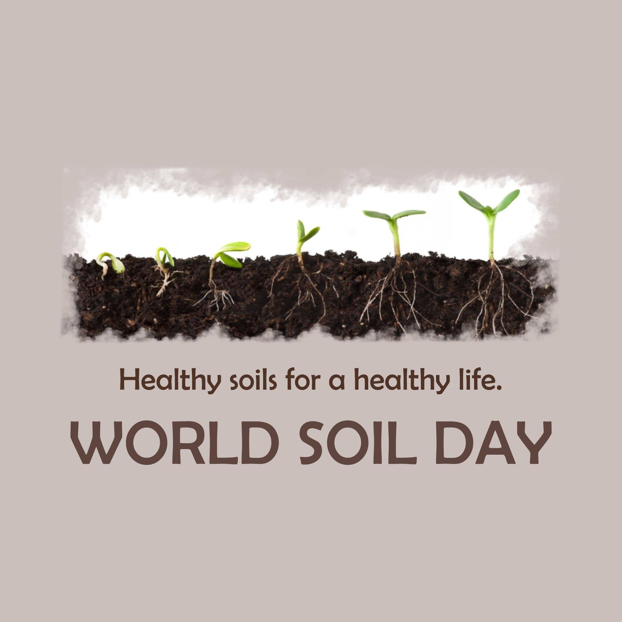 World Soil Day