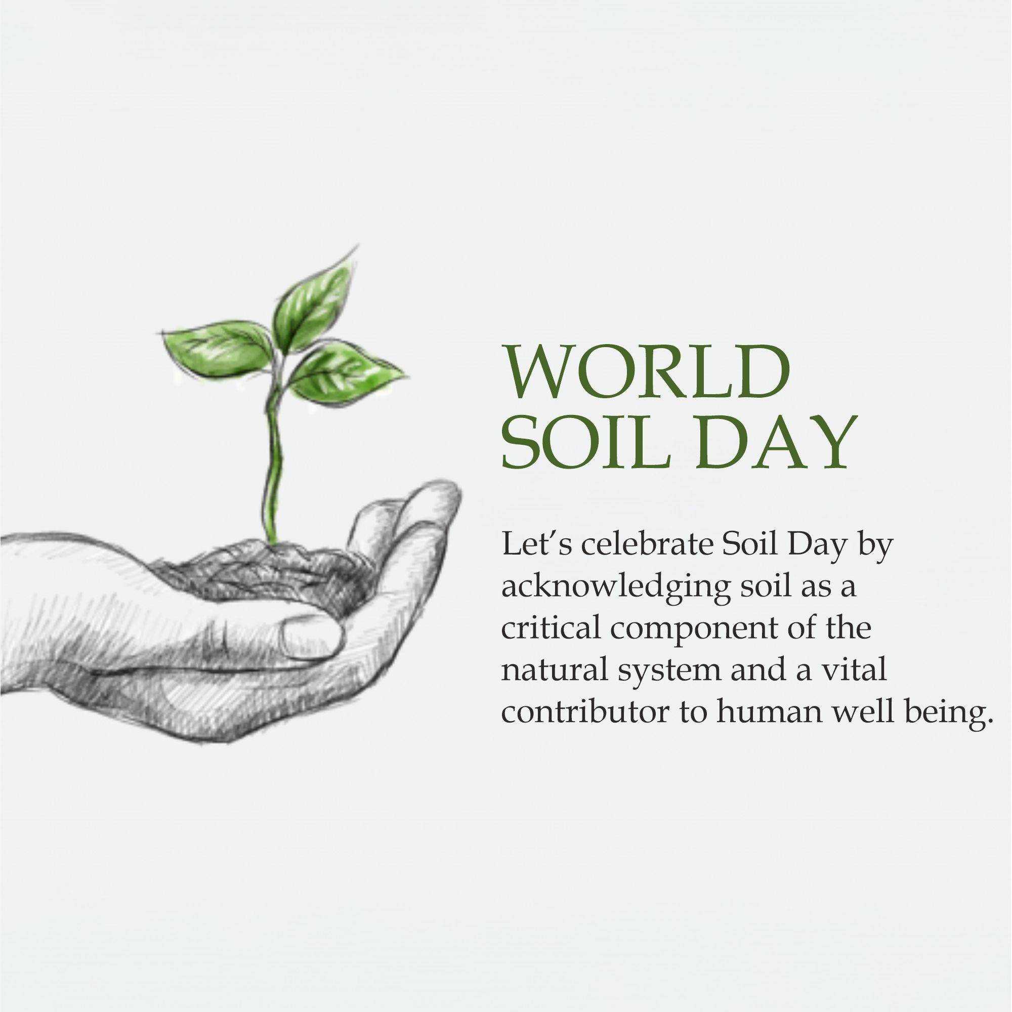 World Soil Day
