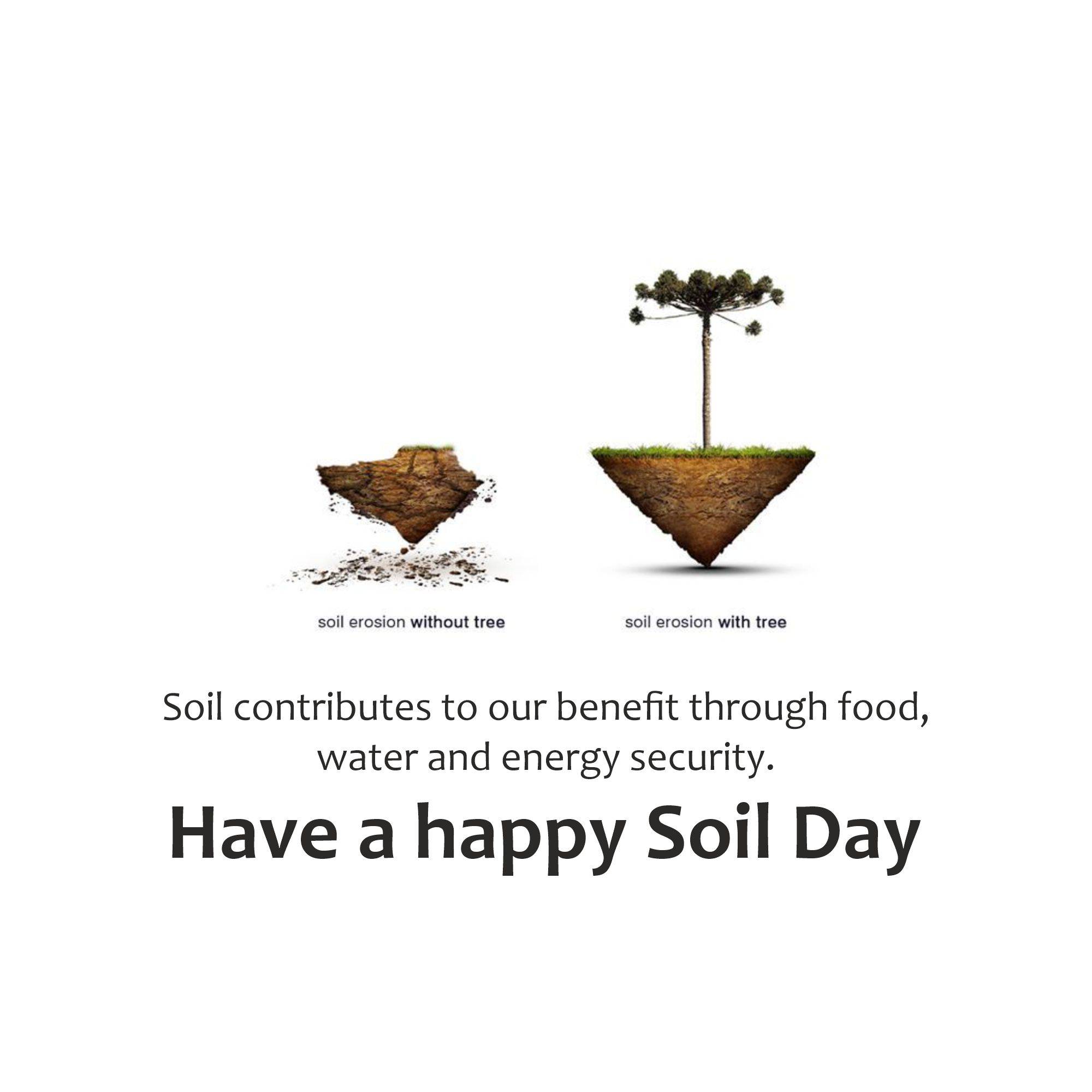 World Soil Day