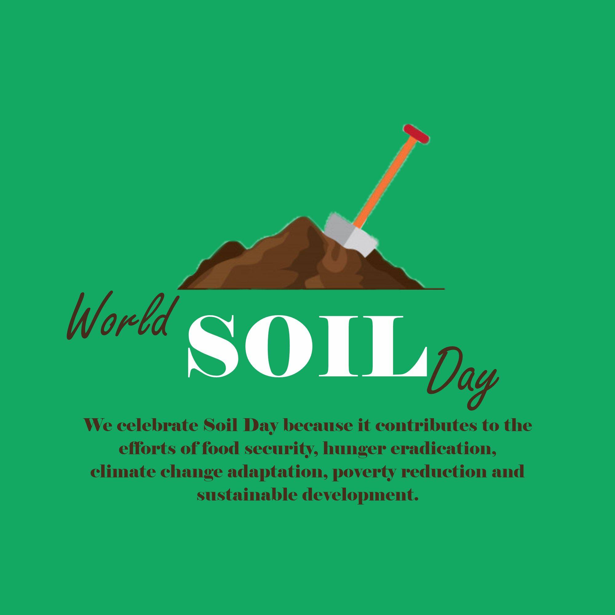 World Soil Day