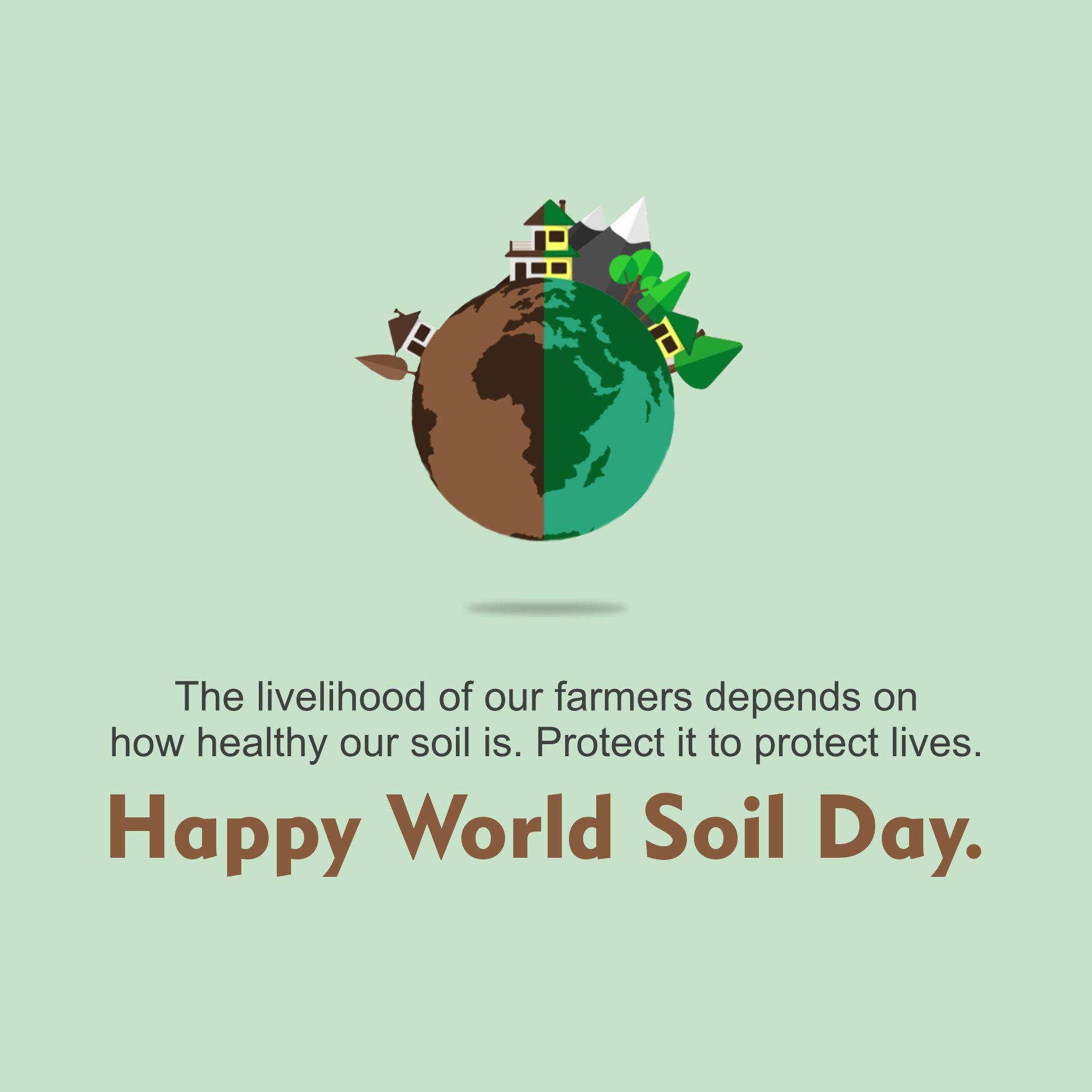 World Soil Day