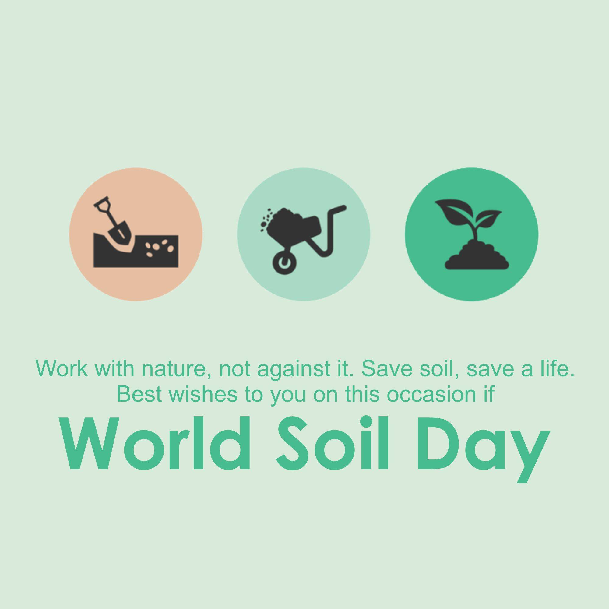 World Soil Day