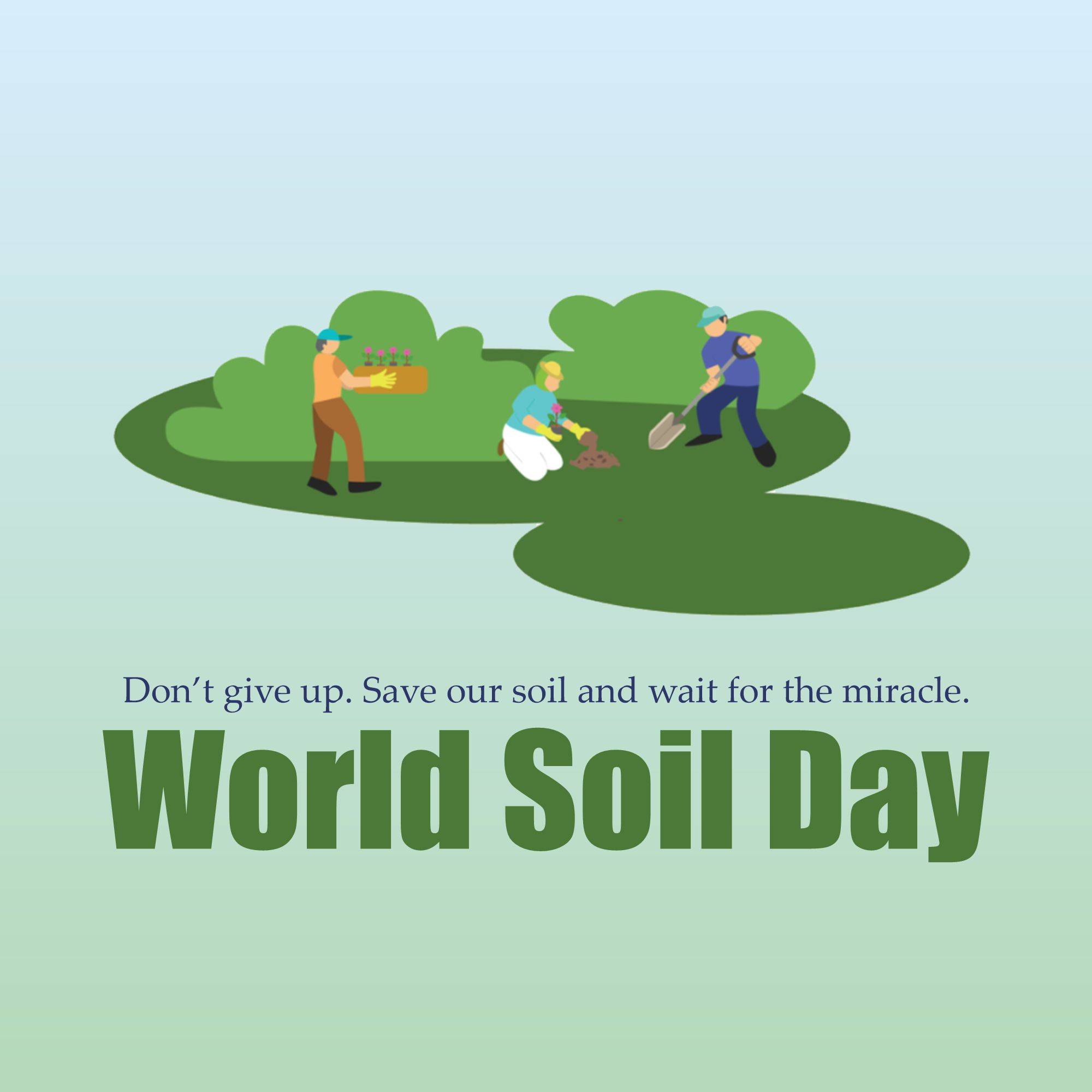 World Soil Day