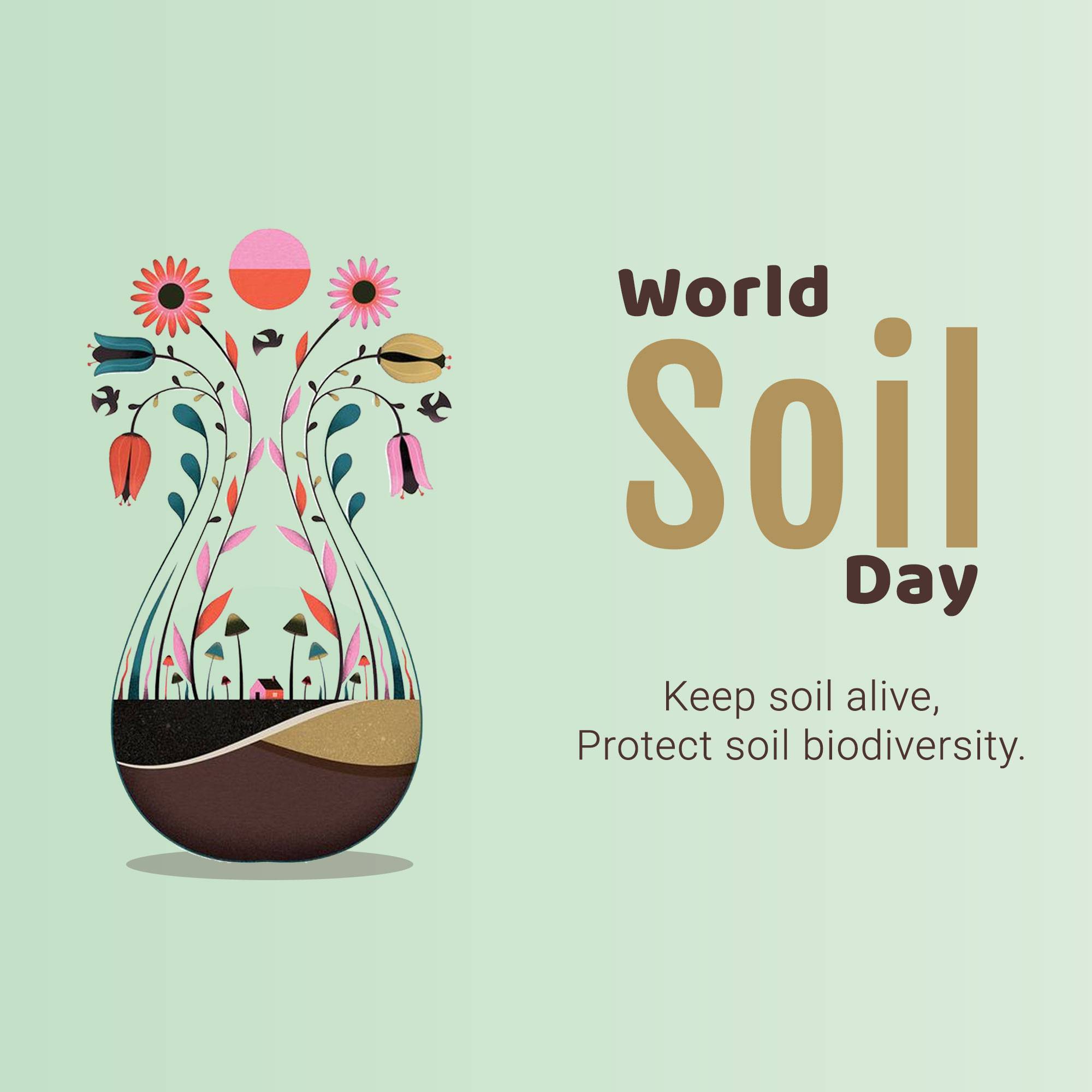 World Soil Day