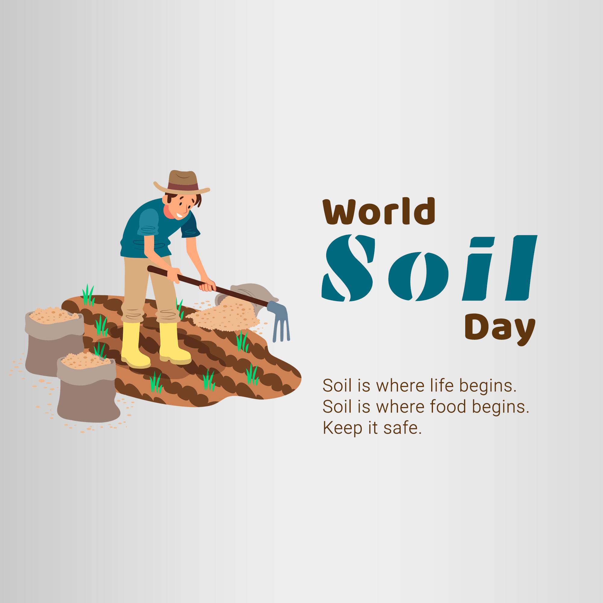 World Soil Day