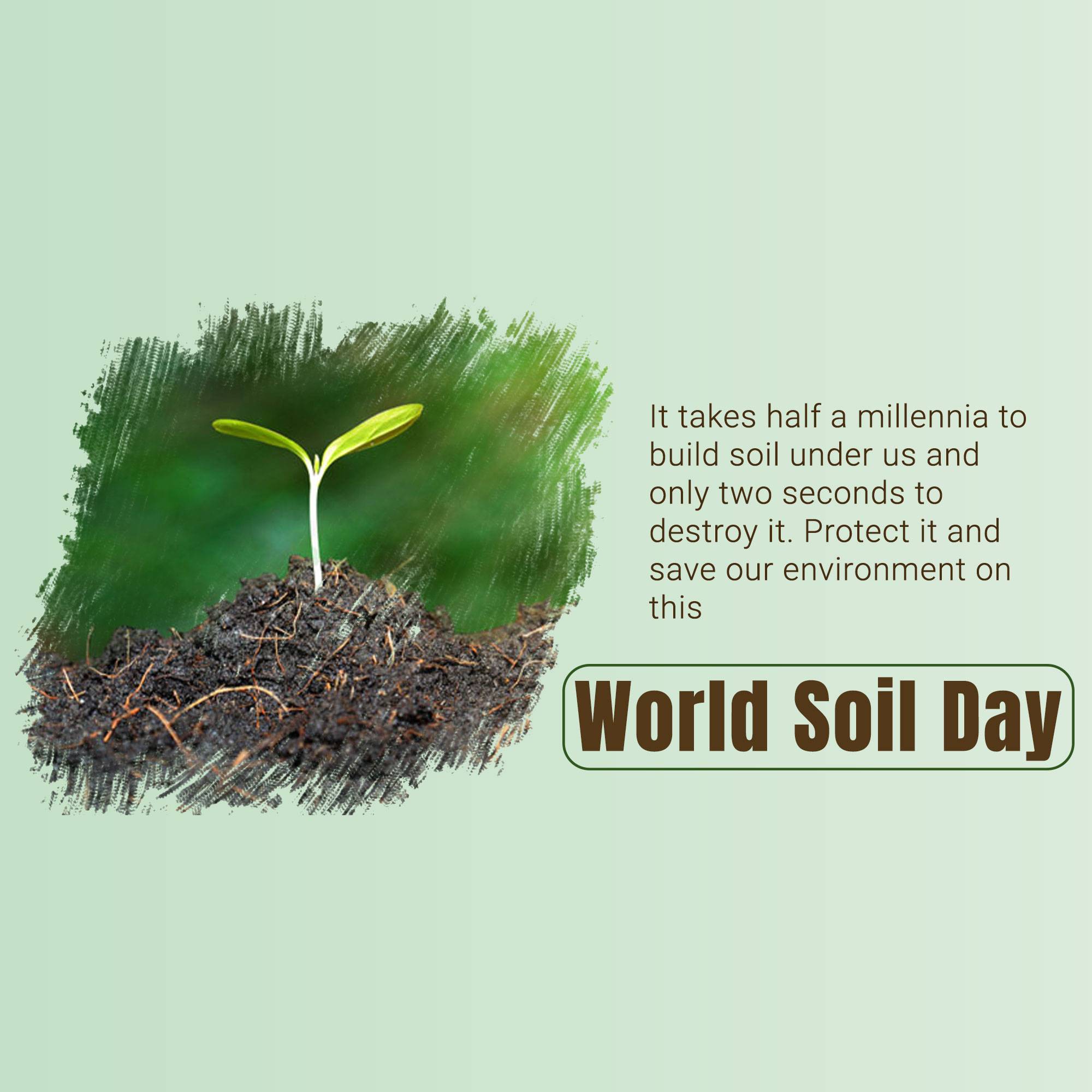 World Soil Day