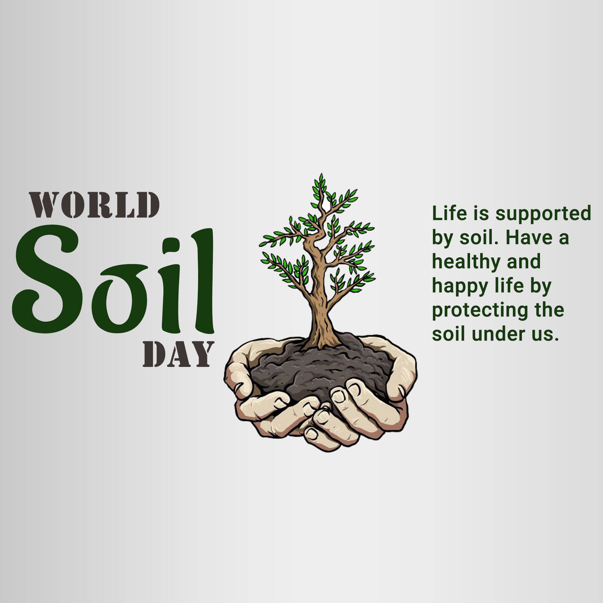 World Soil Day