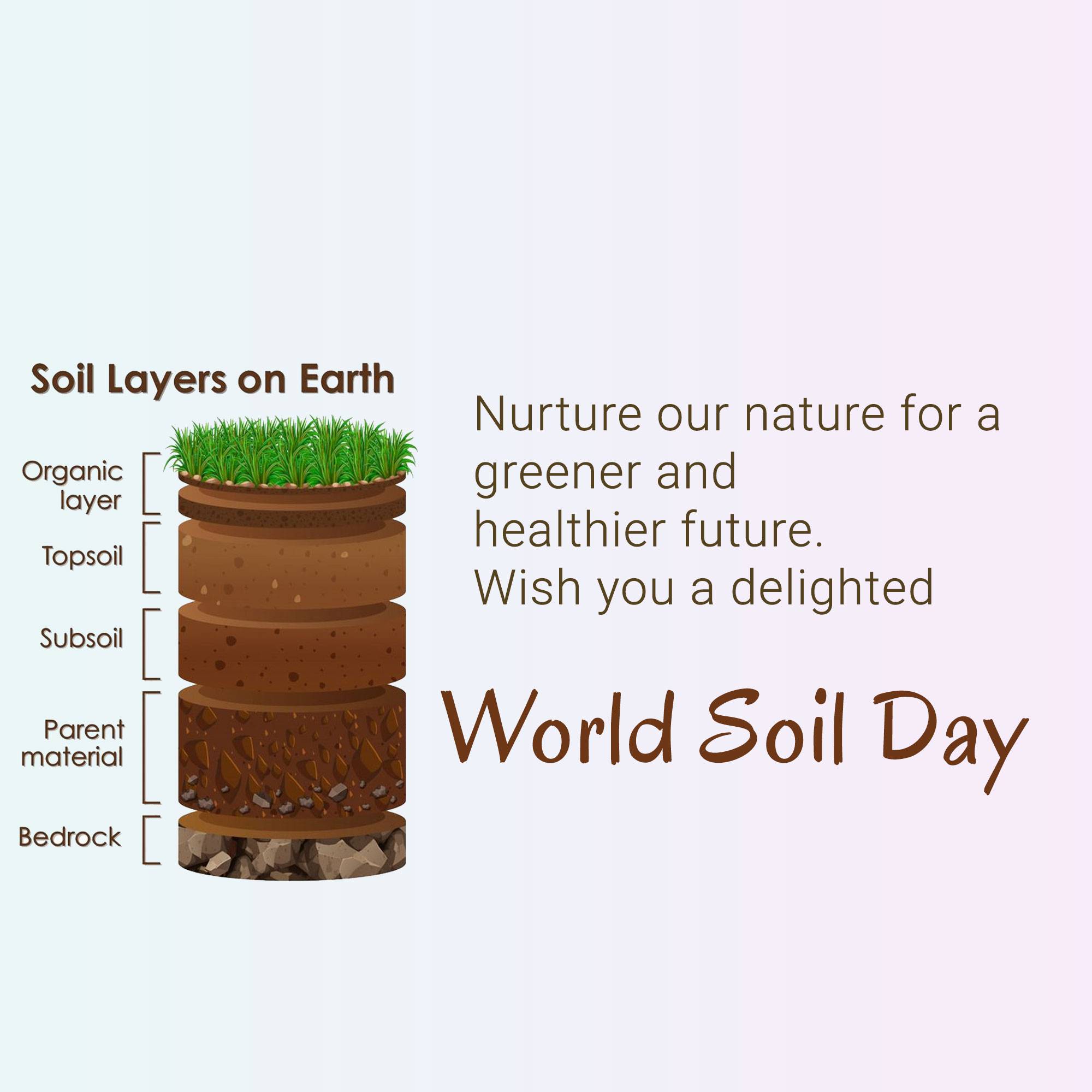 World Soil Day
