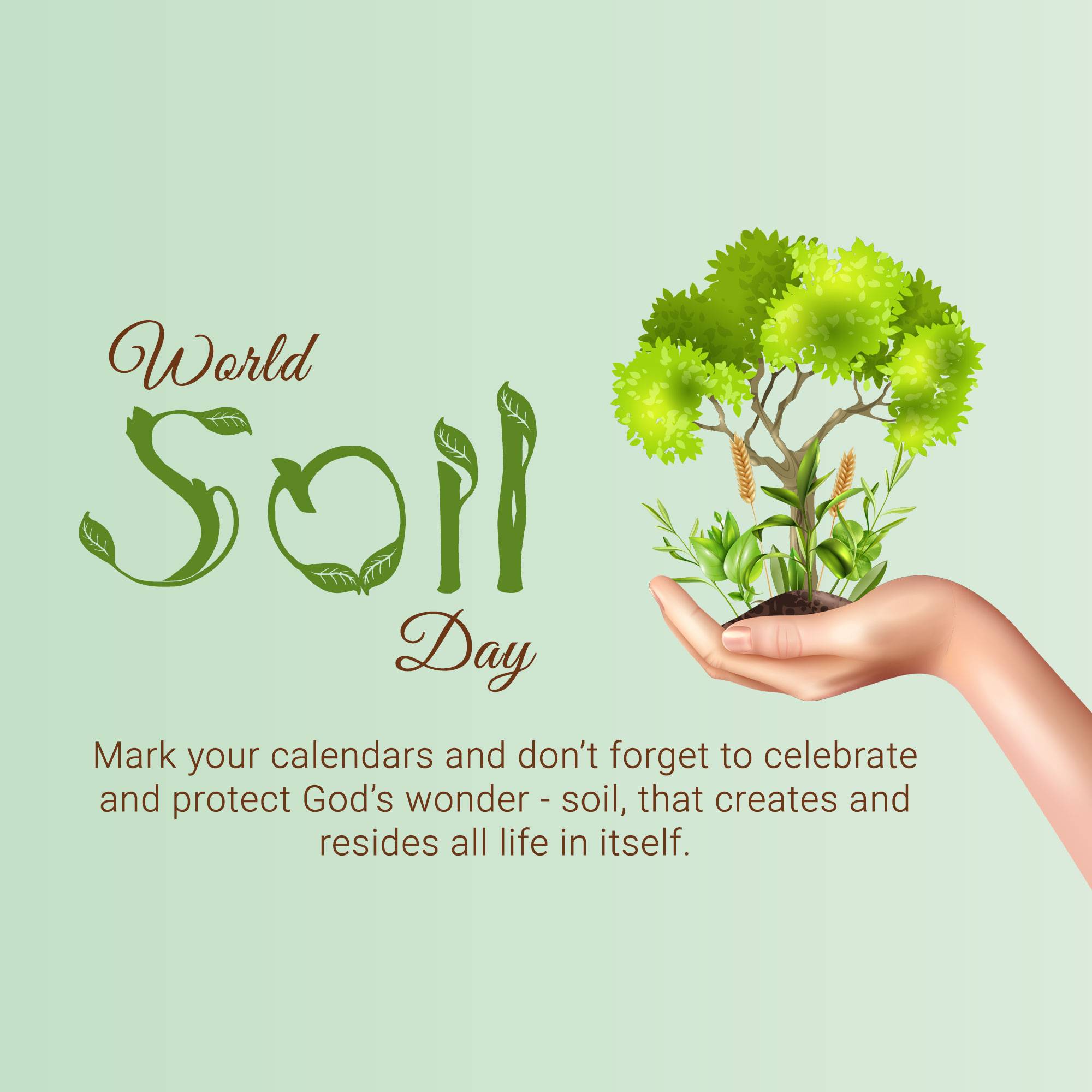 World Soil Day