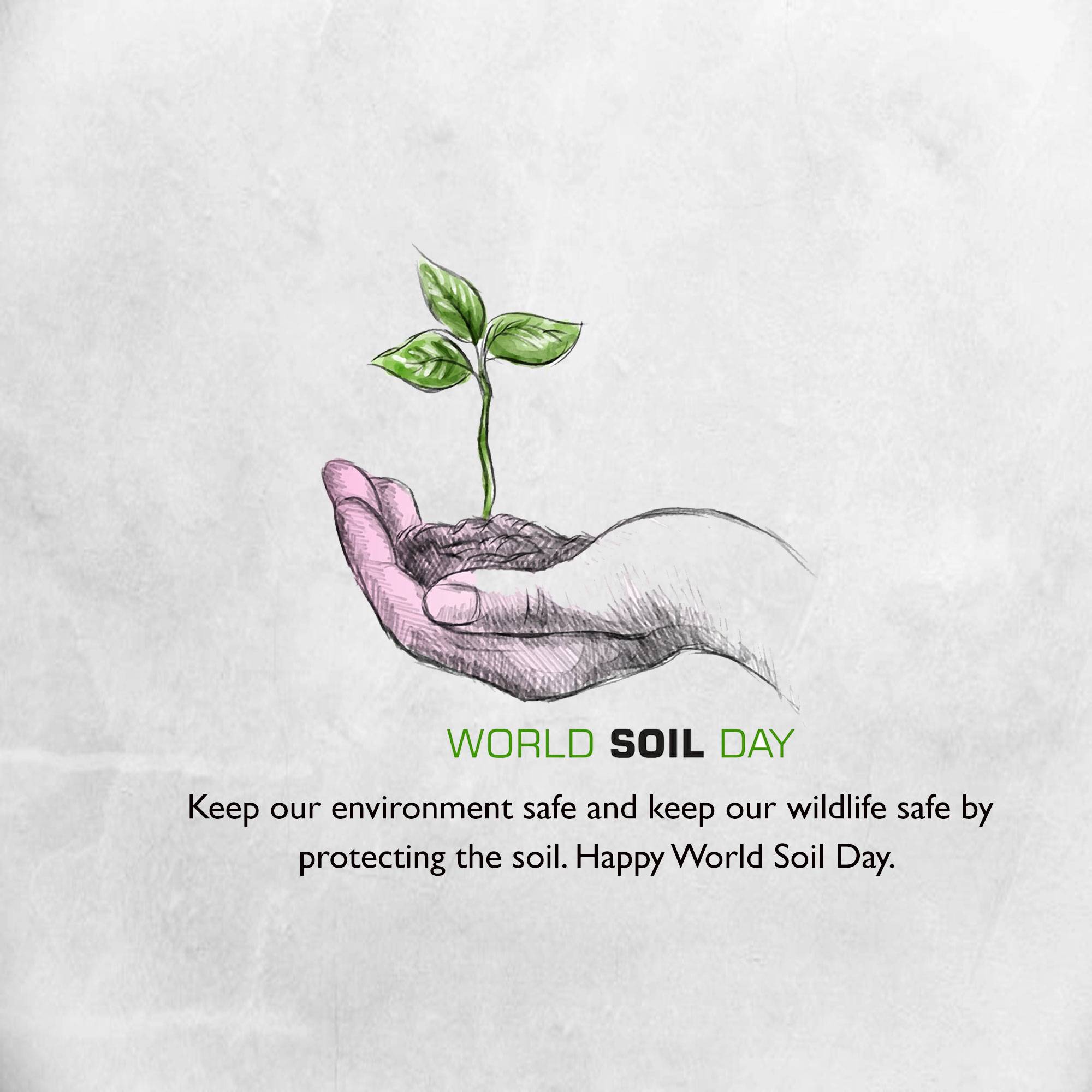 World Soil Day