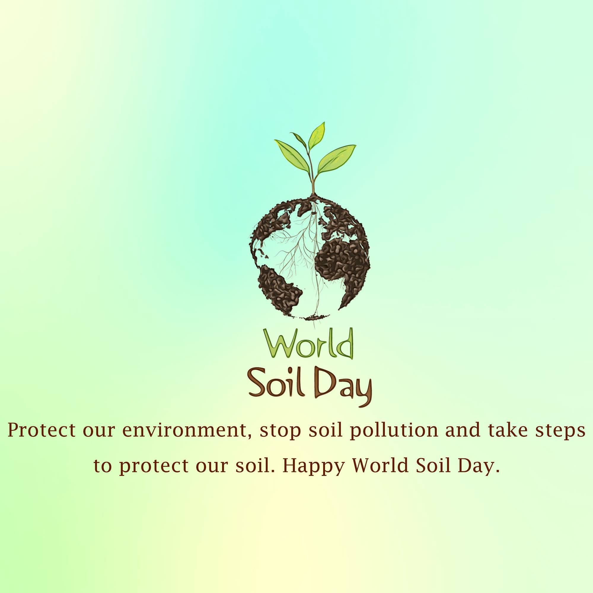 World Soil Day