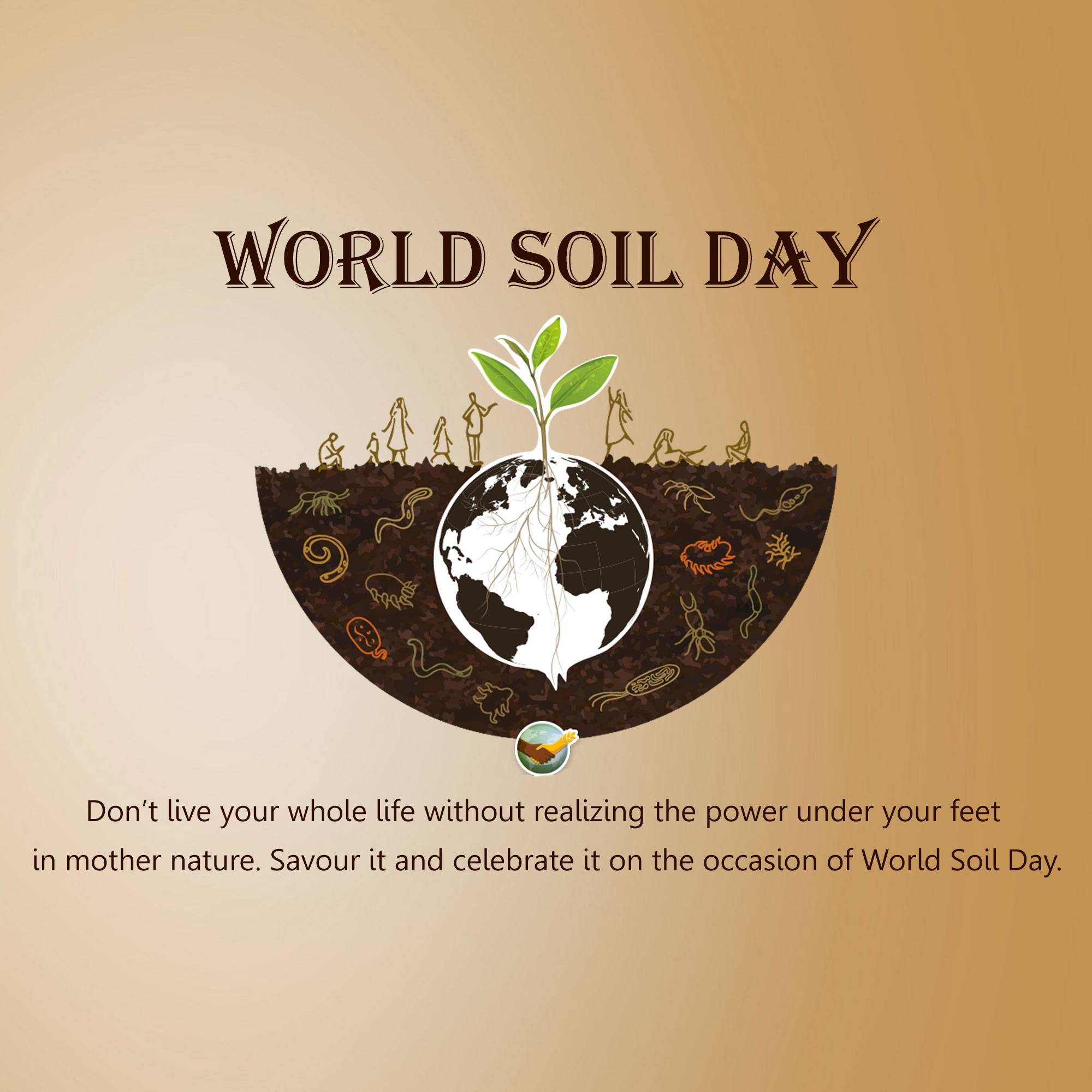 World Soil Day