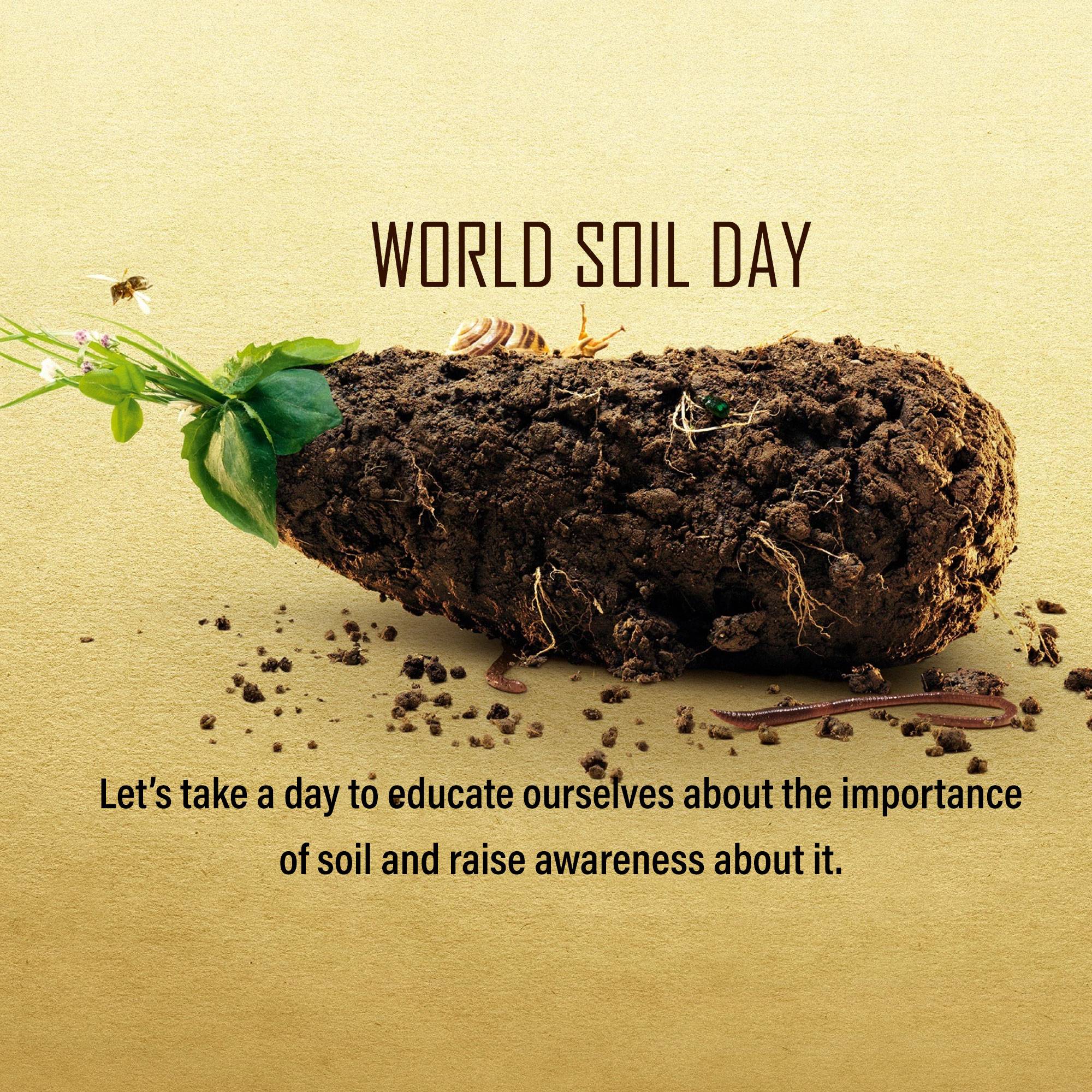 World Soil Day