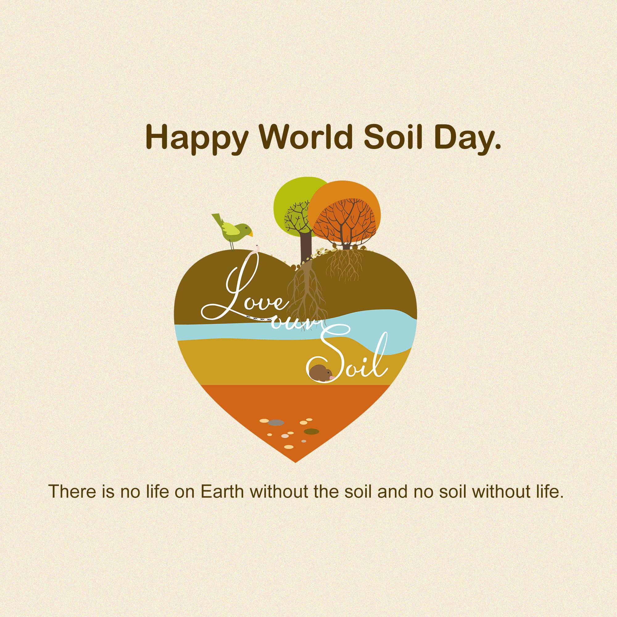 World Soil Day