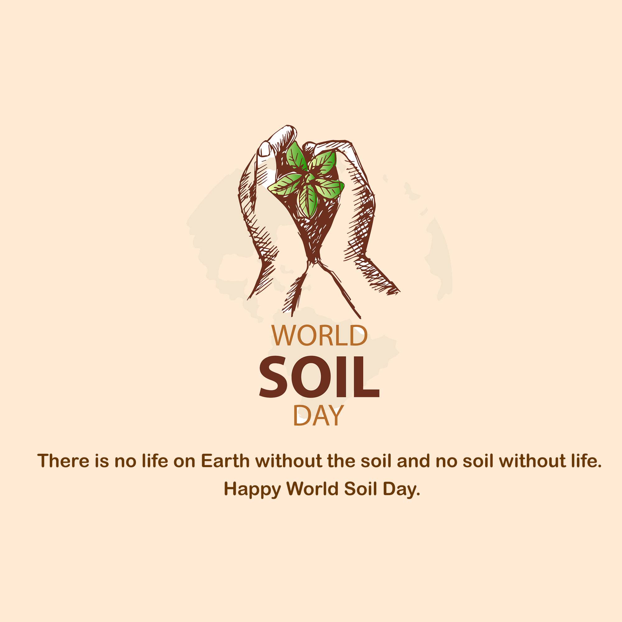World Soil Day