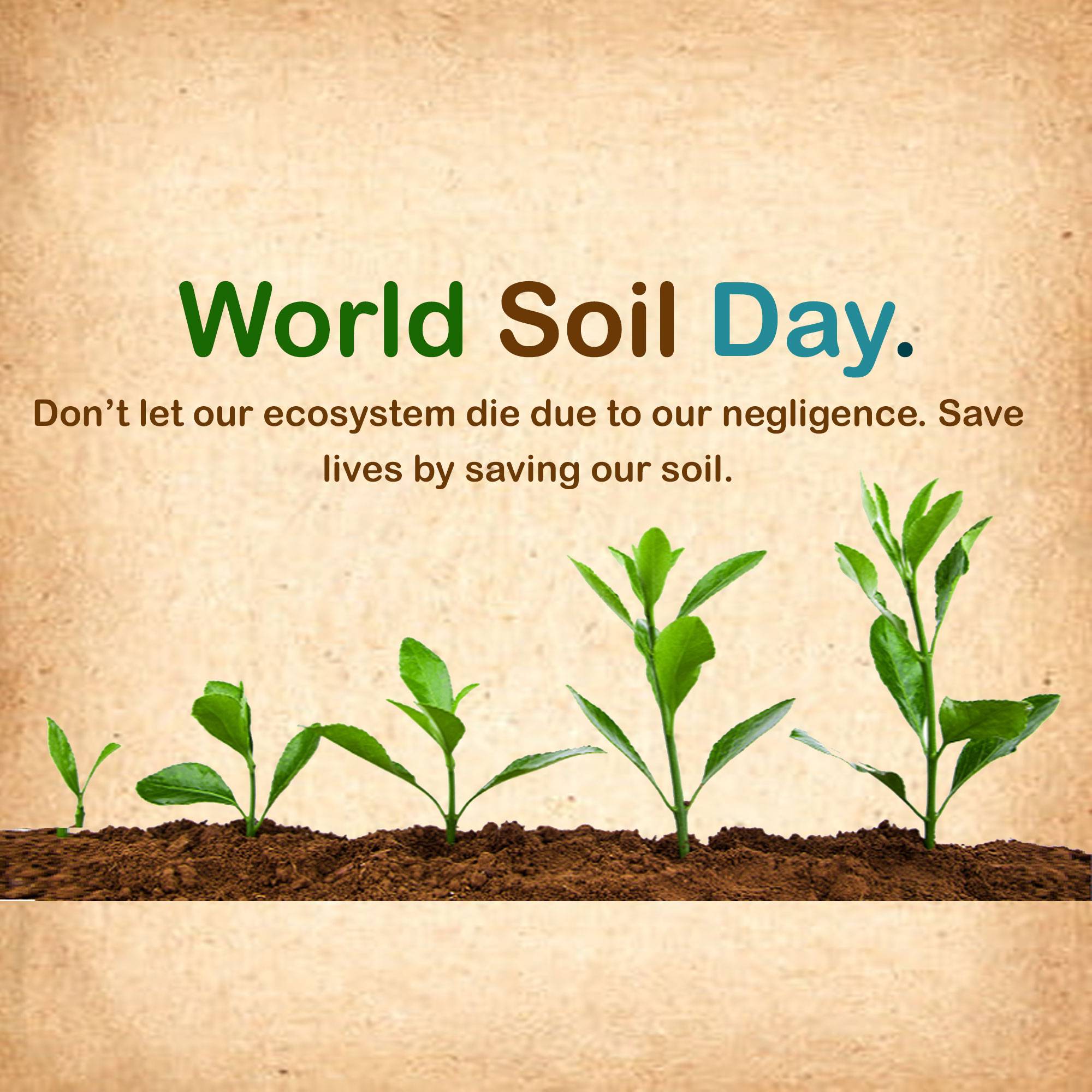 World Soil Day