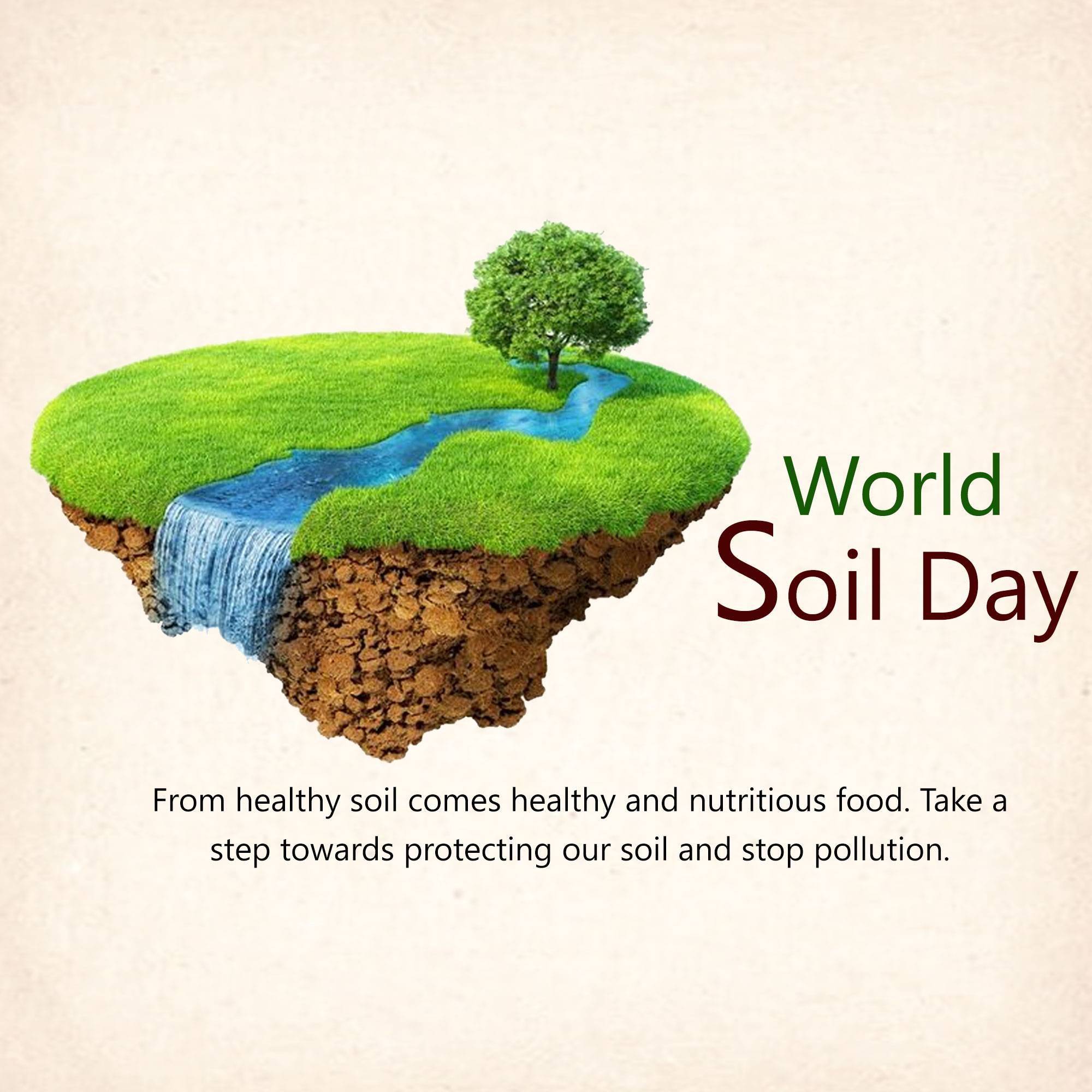 World Soil Day