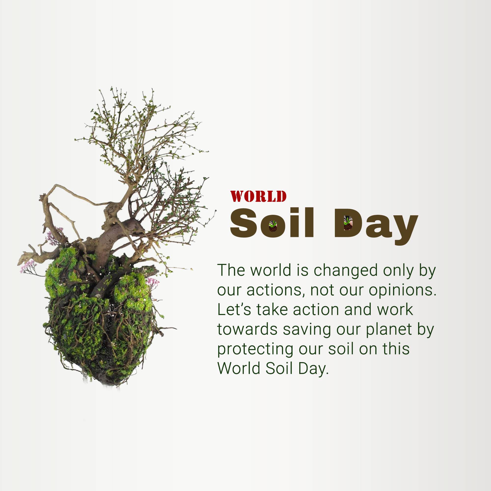 World Soil Day