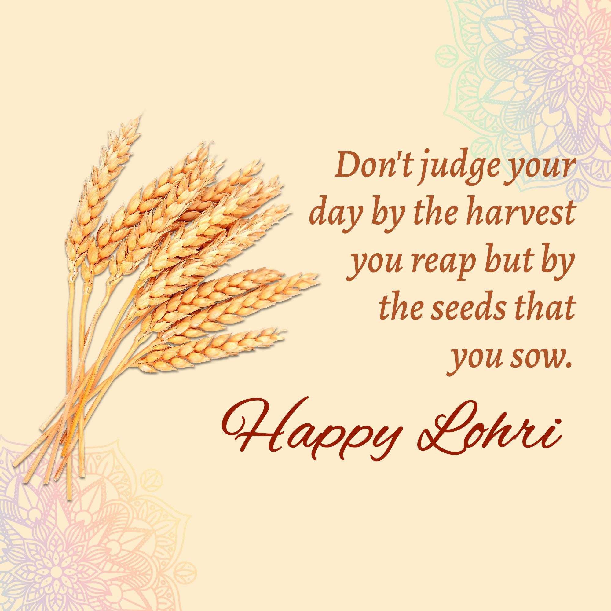 Happy Lohri