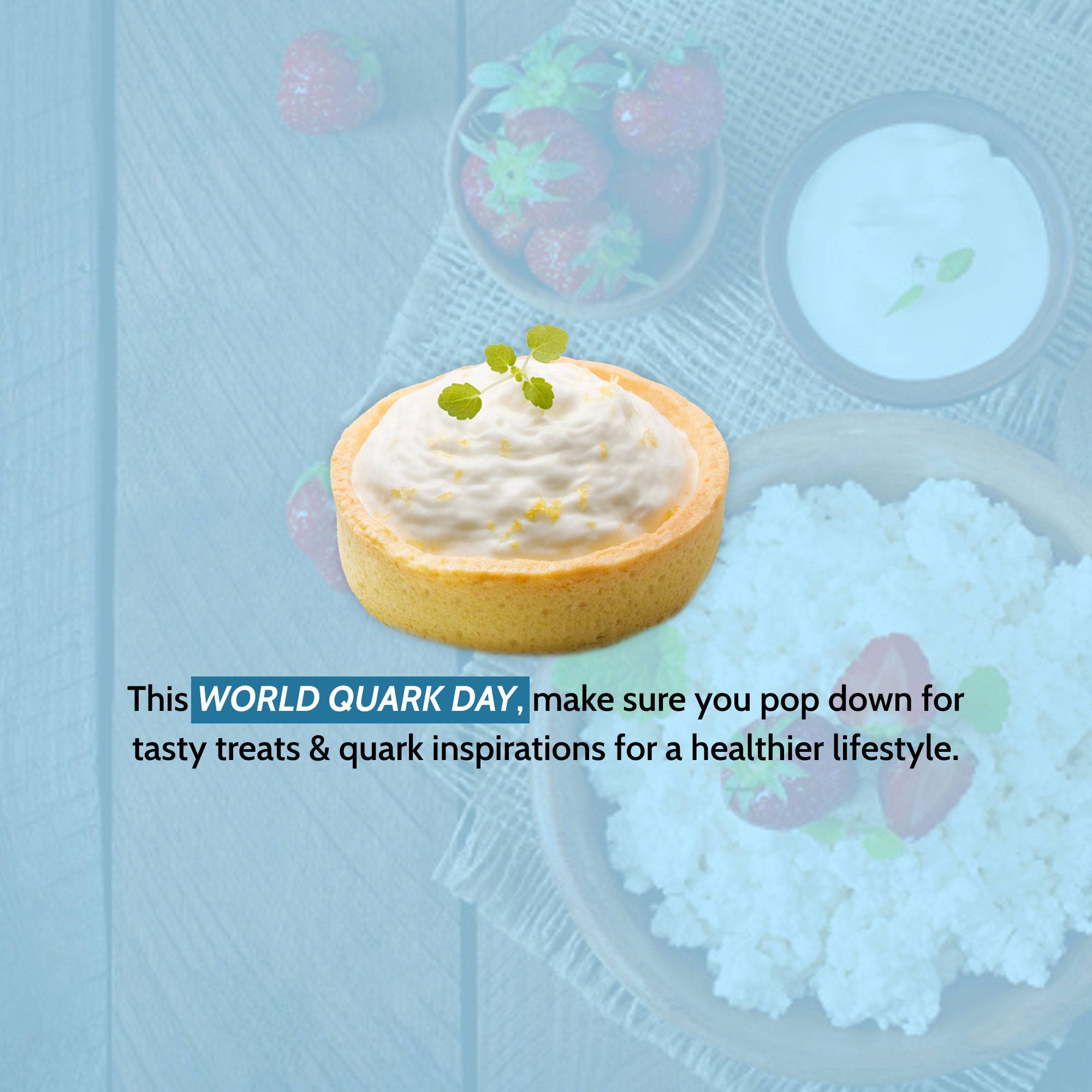 World Quark Day