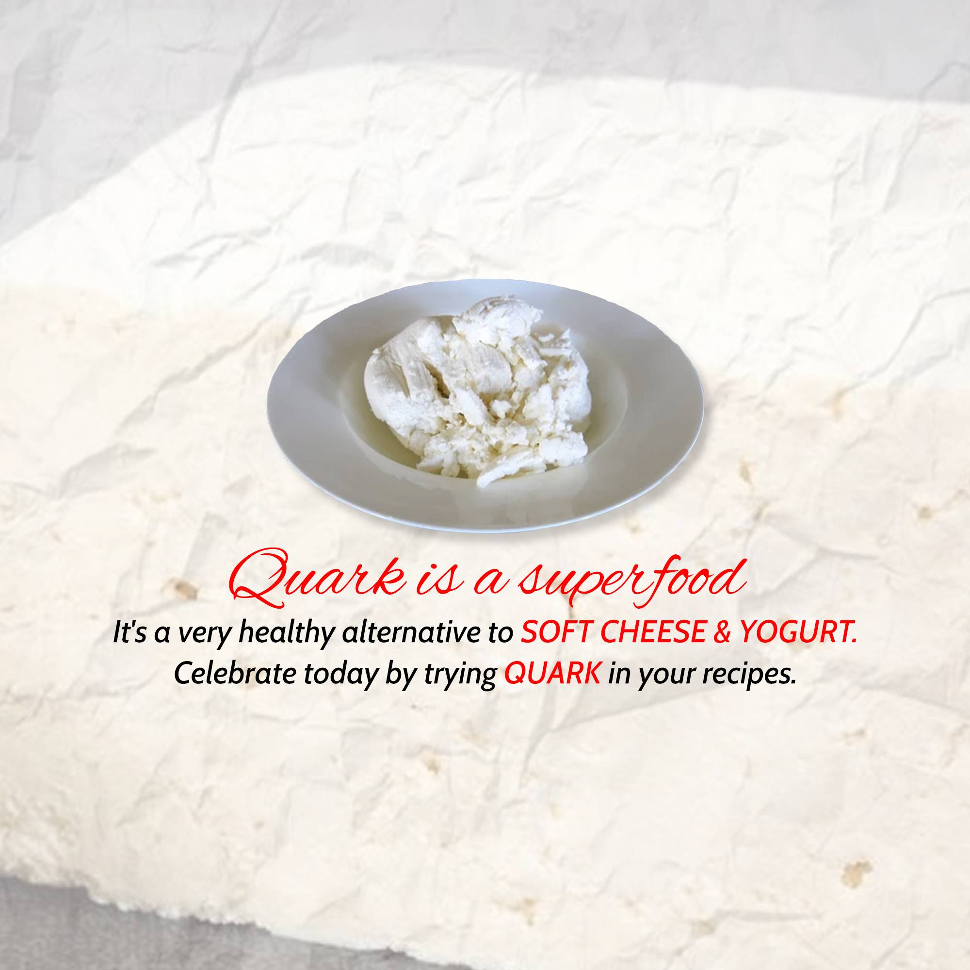 World Quark Day