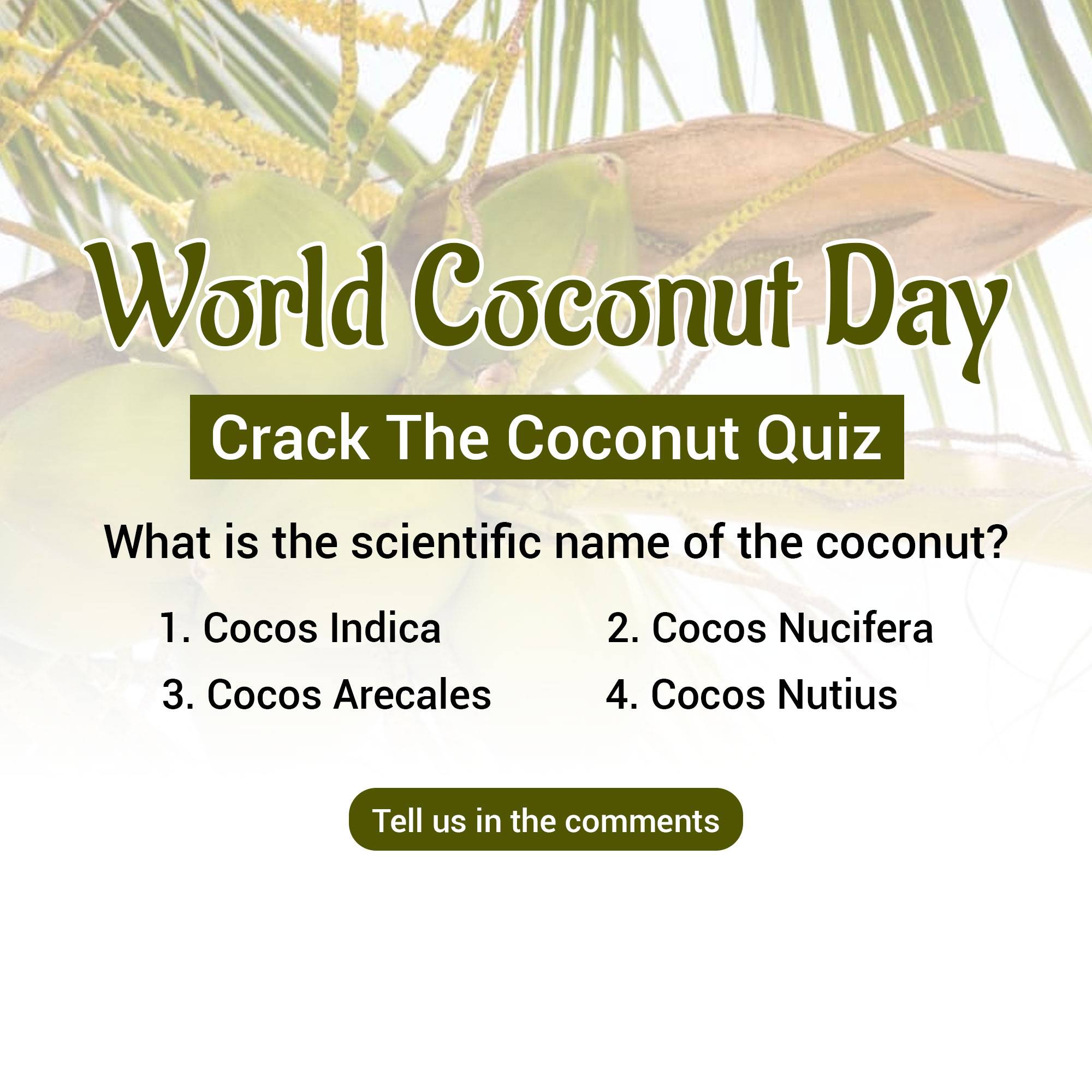 World Coconut Day
