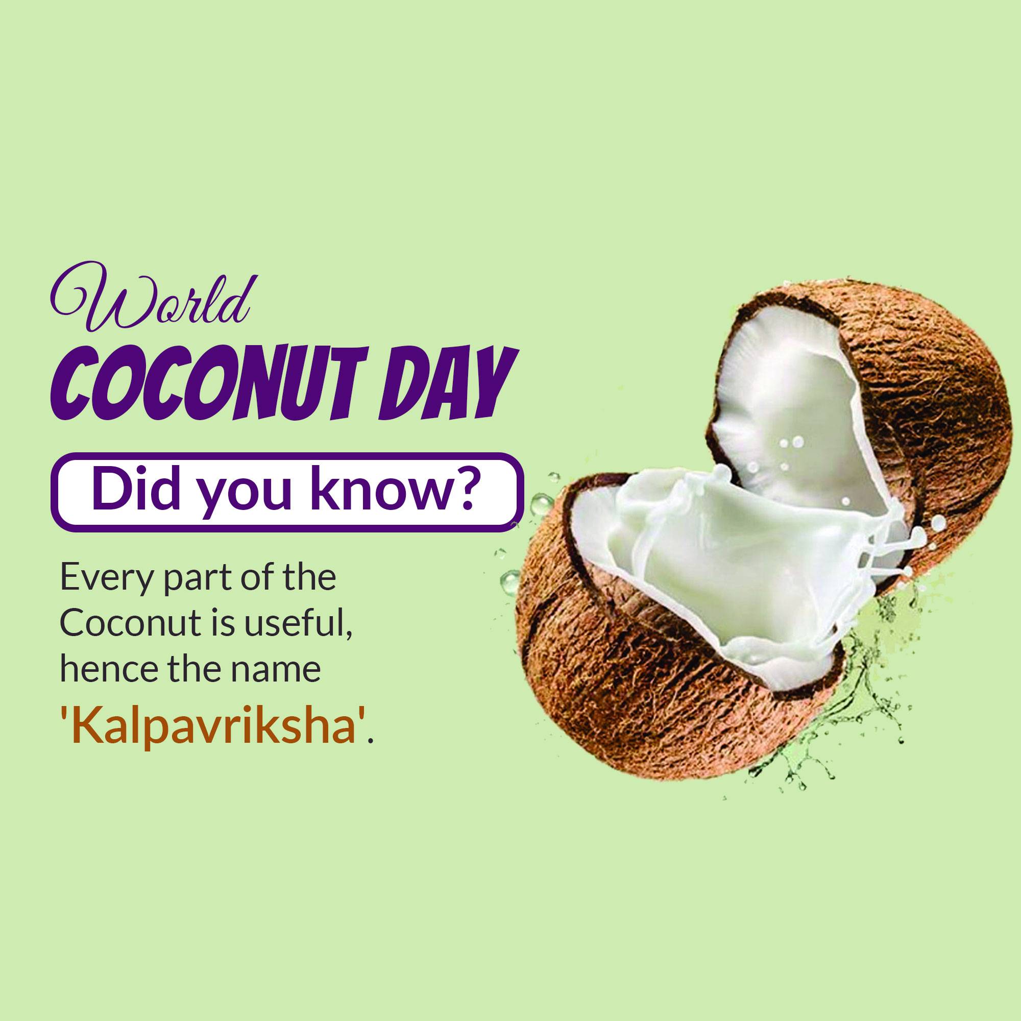 World Coconut Day