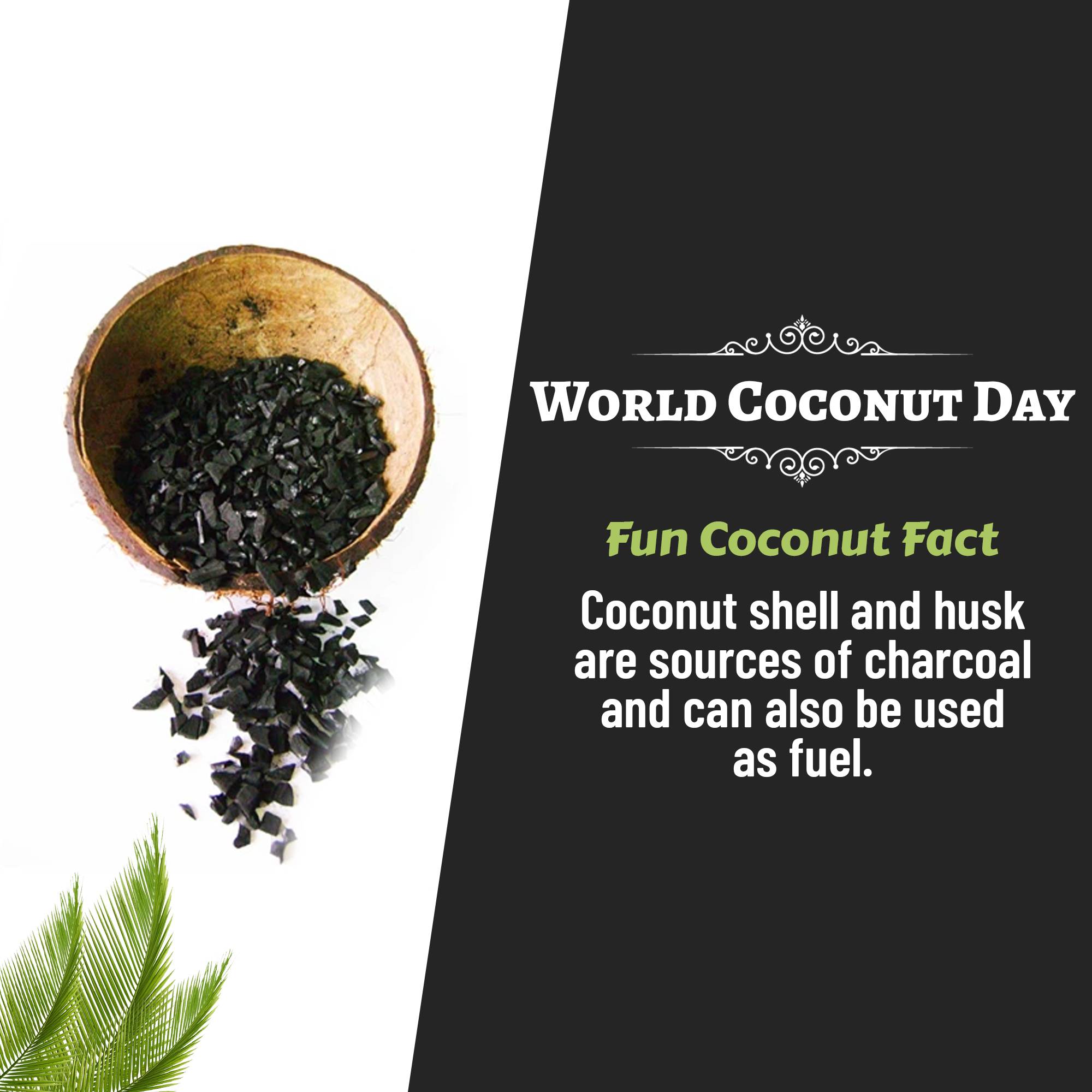 World Coconut Day