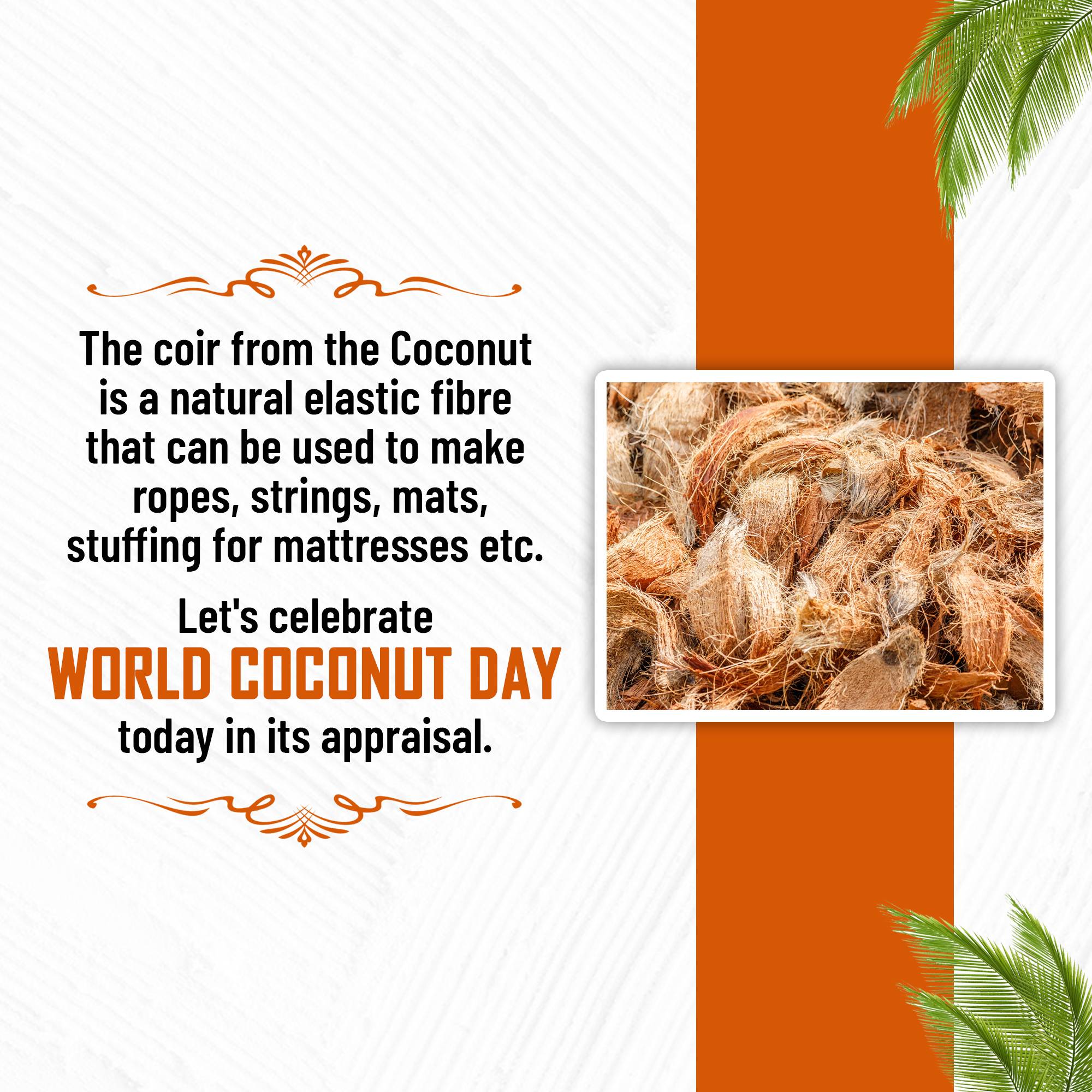 World Coconut Day