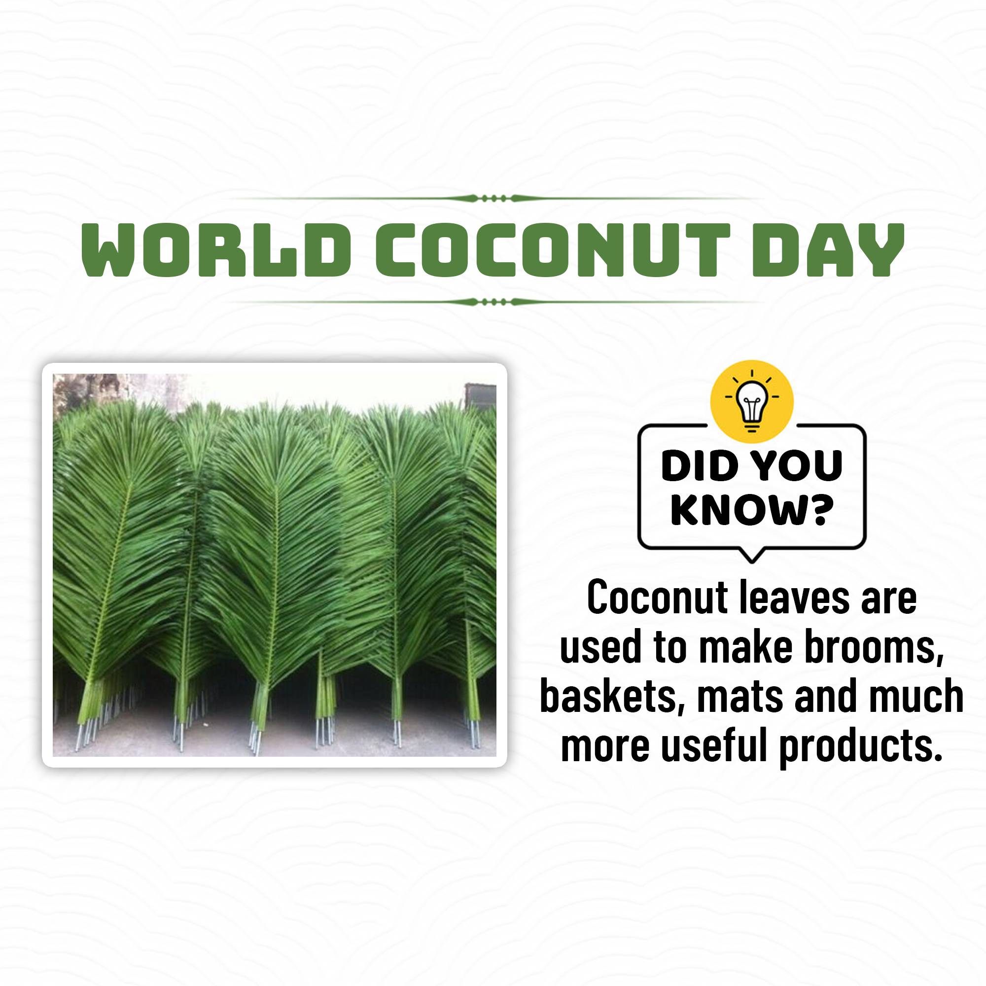 World Coconut Day