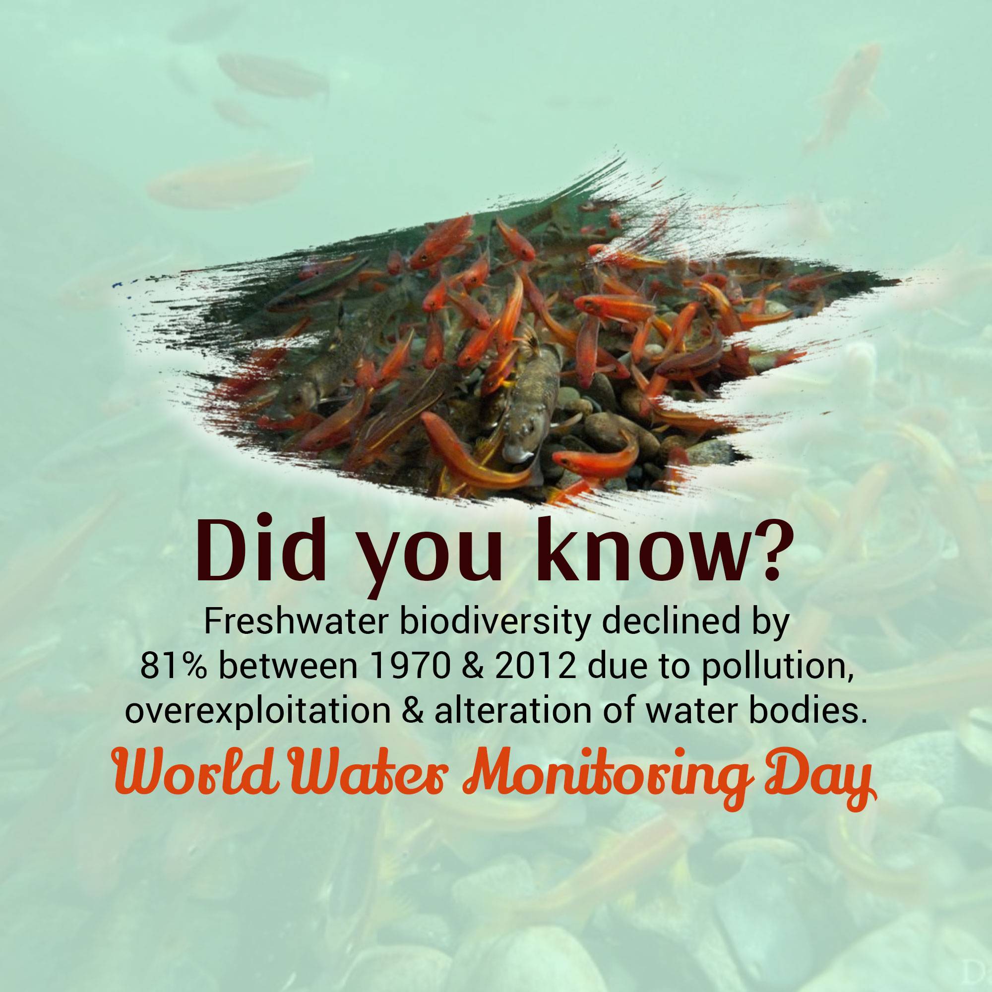 World Water Monitoring Day