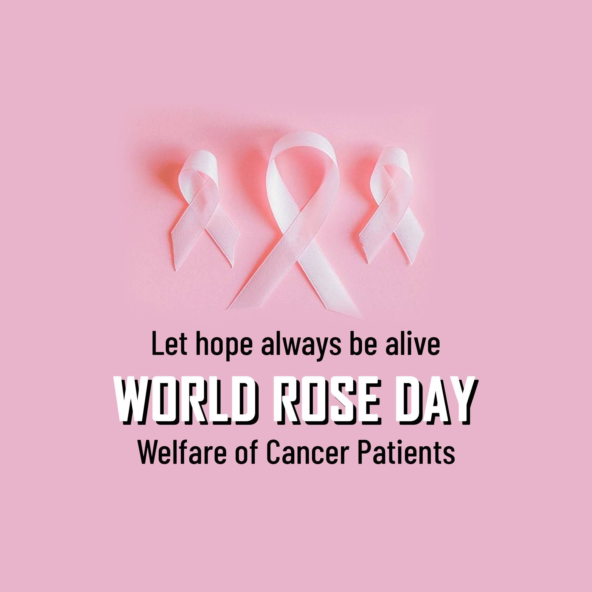 Rose day welfare of cancer patients