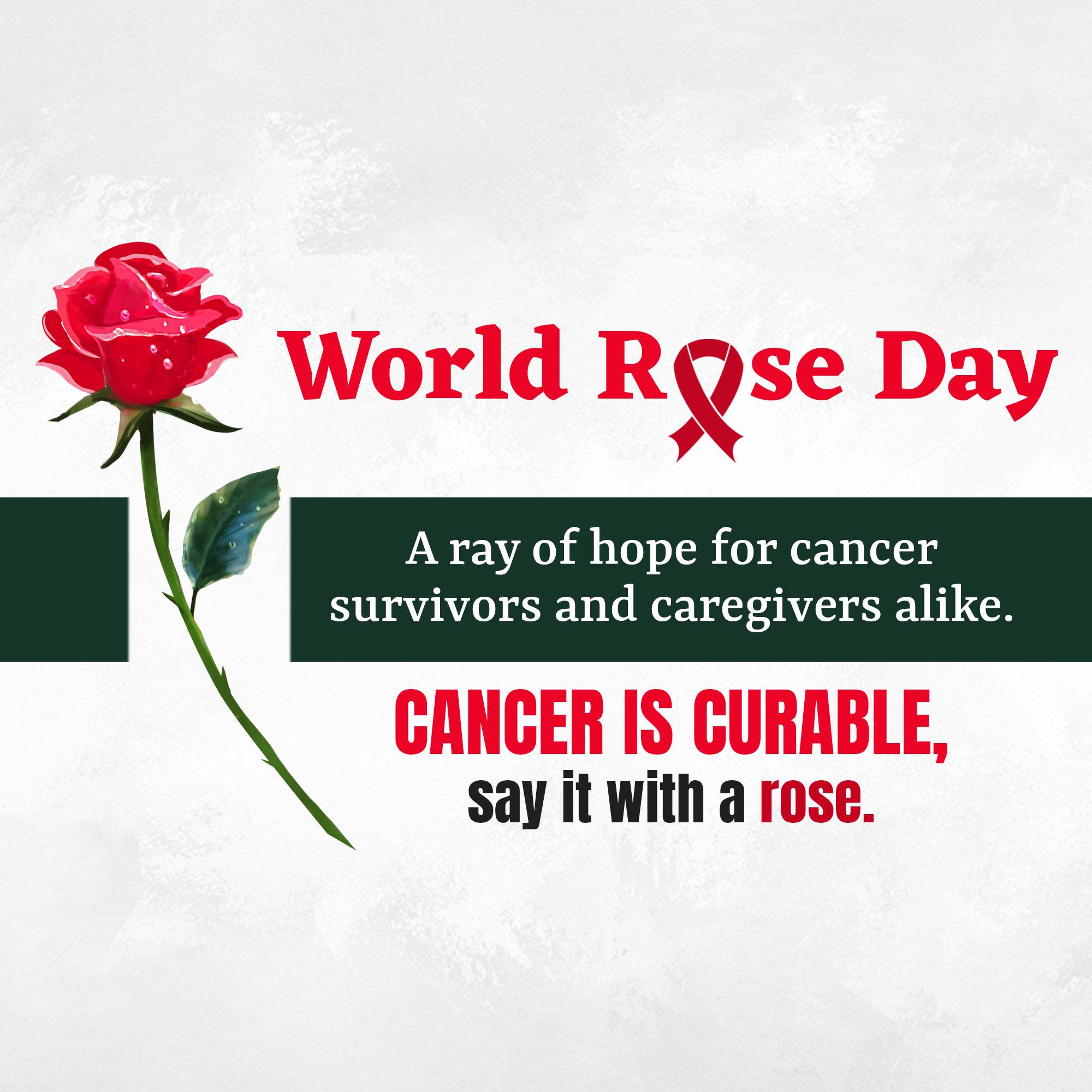 Rose day welfare of cancer patients