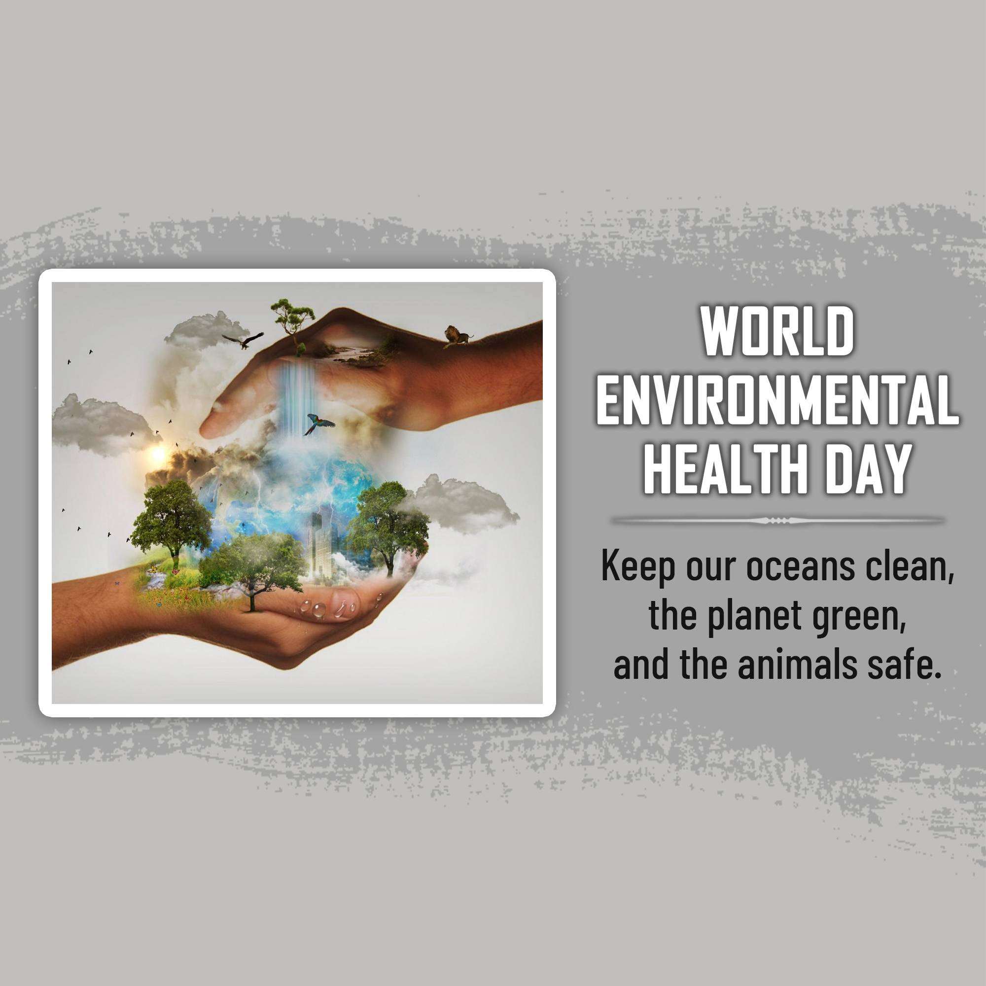 World Environmental Health Day