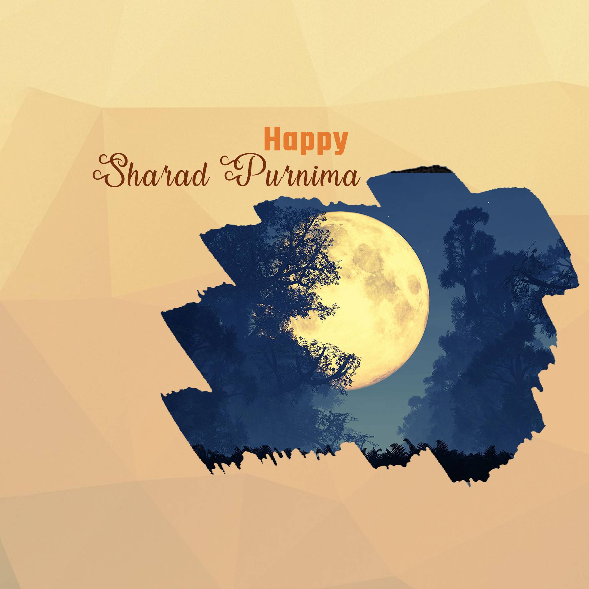 Sharad Purnima