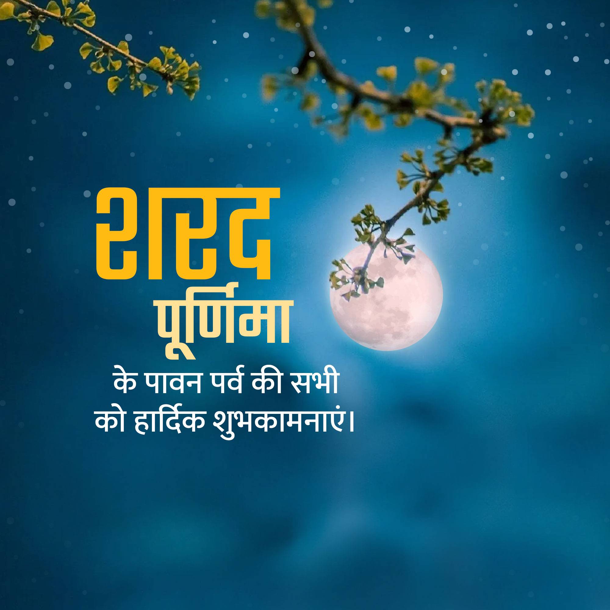 Sharad Purnima