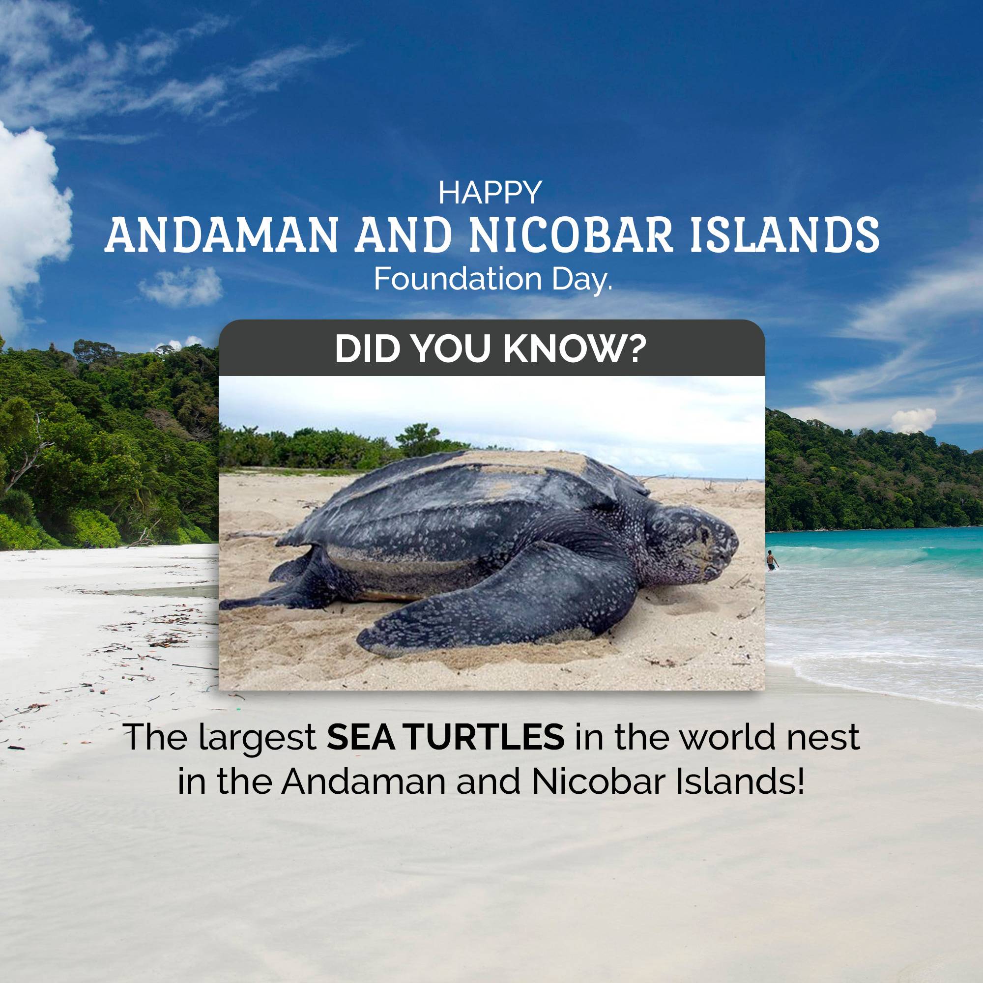 Andaman and Nicobar Islands Foundation Day