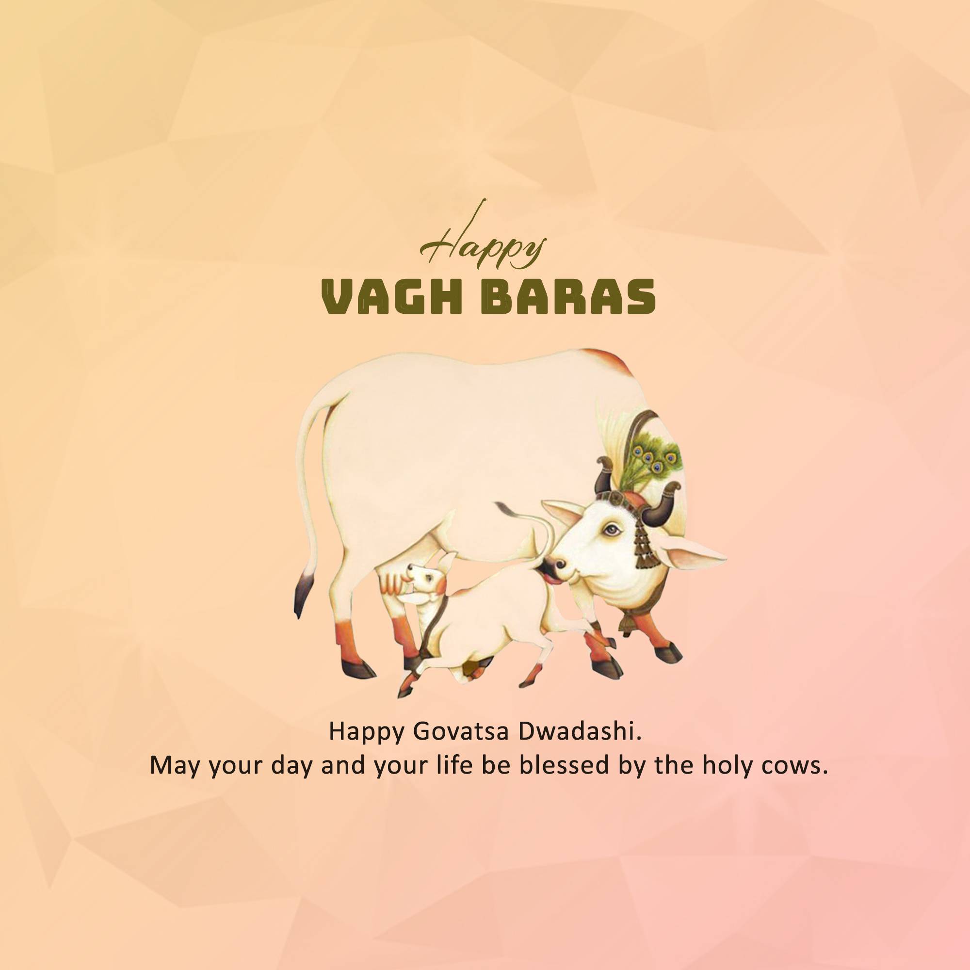 Vagh Baras